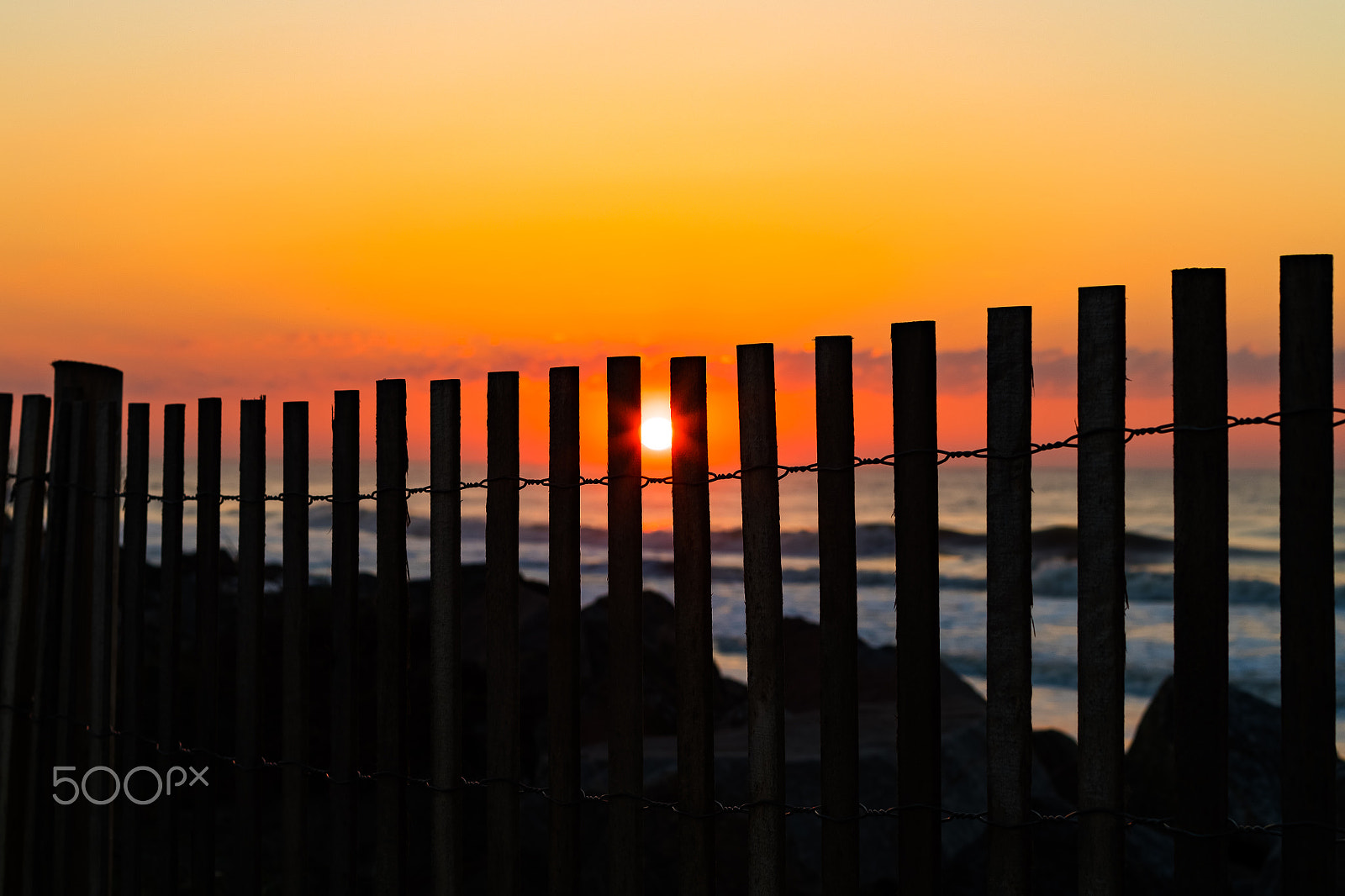 Canon EF 50mm F1.4 USM sample photo. Sun through the fence photography
