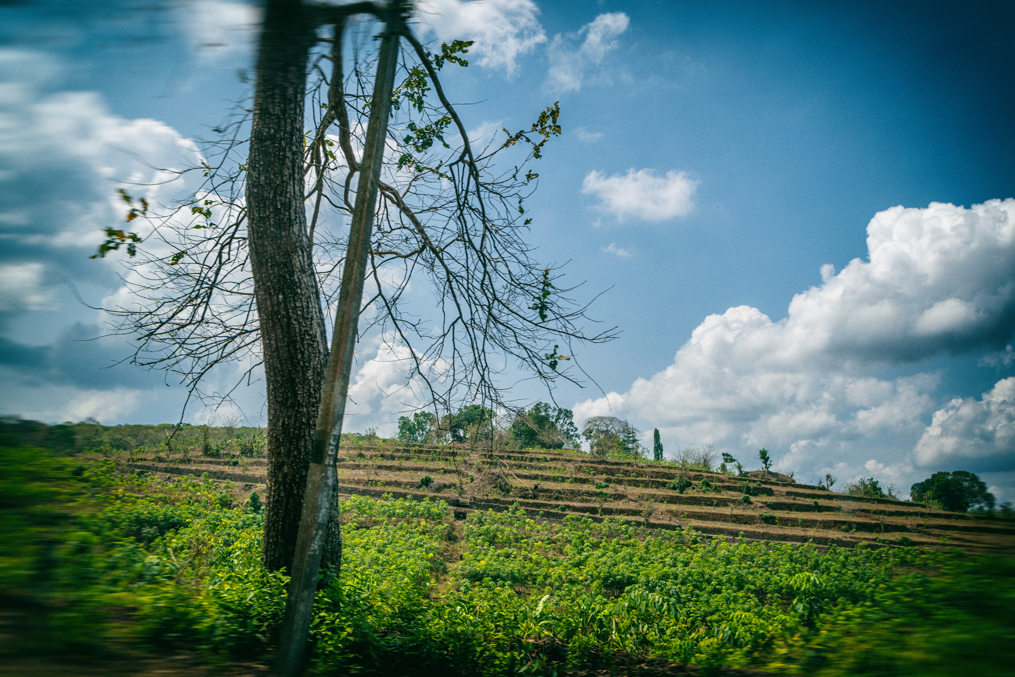 Sigma 17-50mm F2.8 EX DC OS HSM sample photo. Landscape photography