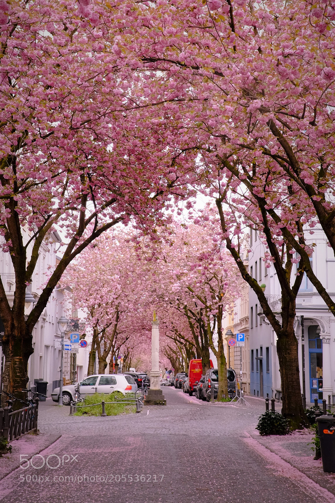 Fujifilm X100T sample photo. Cherry blossom in bonn photography