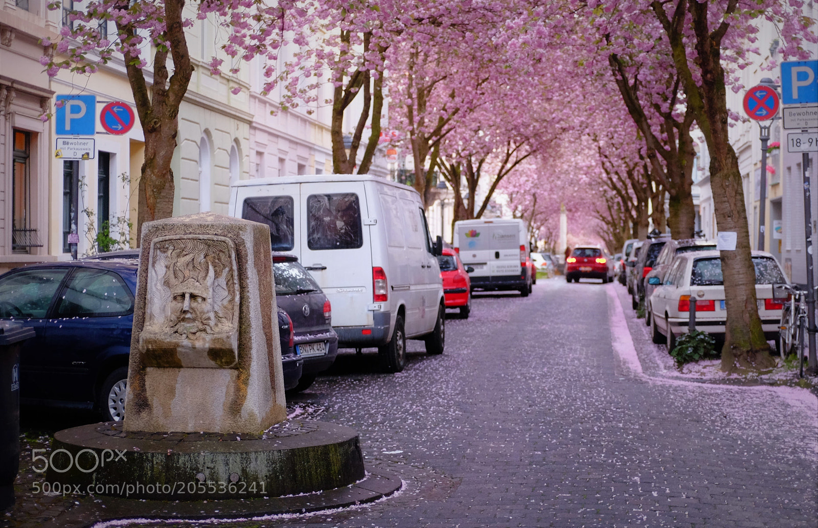 Fujifilm X100T sample photo. Cherry blossom in bonn photography