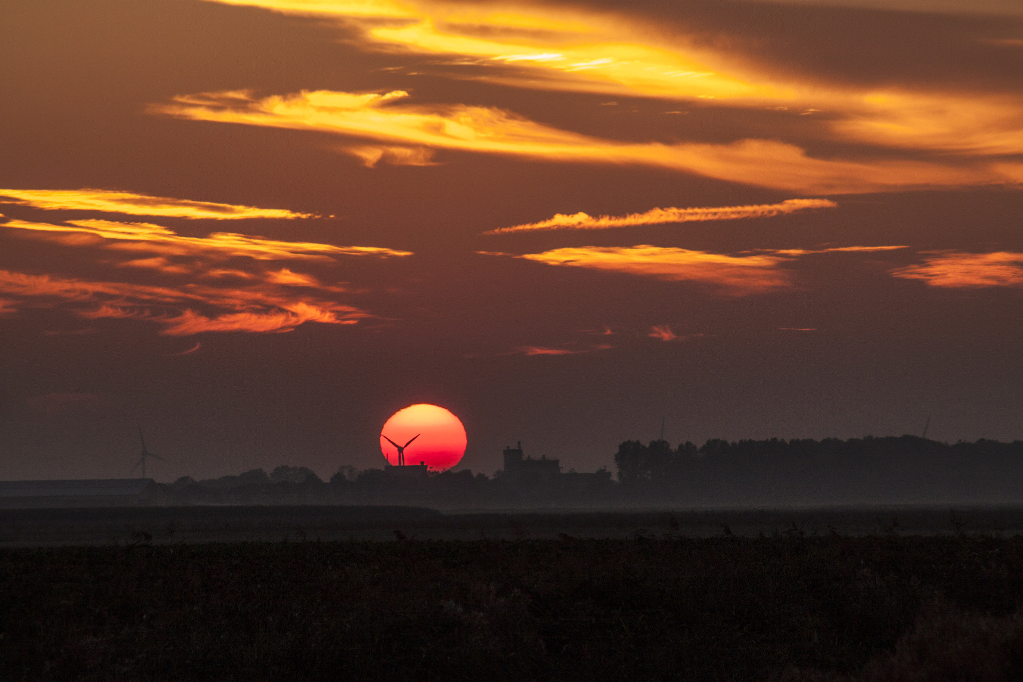 Canon EF 70-210mm f/4 sample photo. ... photography