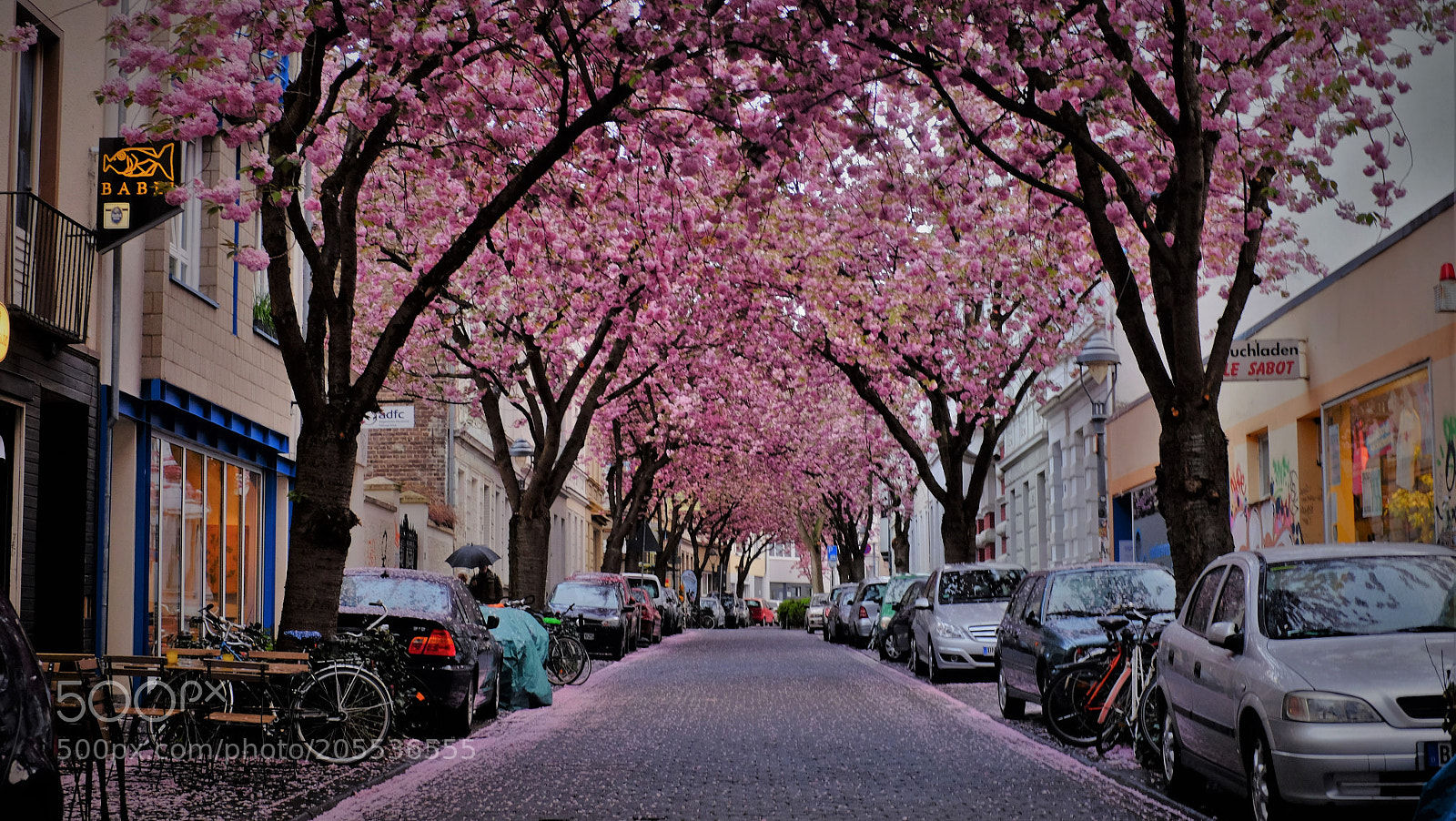 Fujifilm X100T sample photo. Cherry blossom in bonn photography