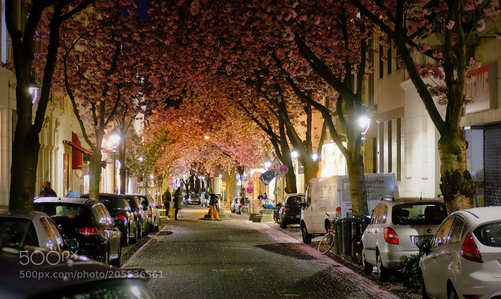 Fujifilm X100T sample photo. Cherry blossom in bonn photography