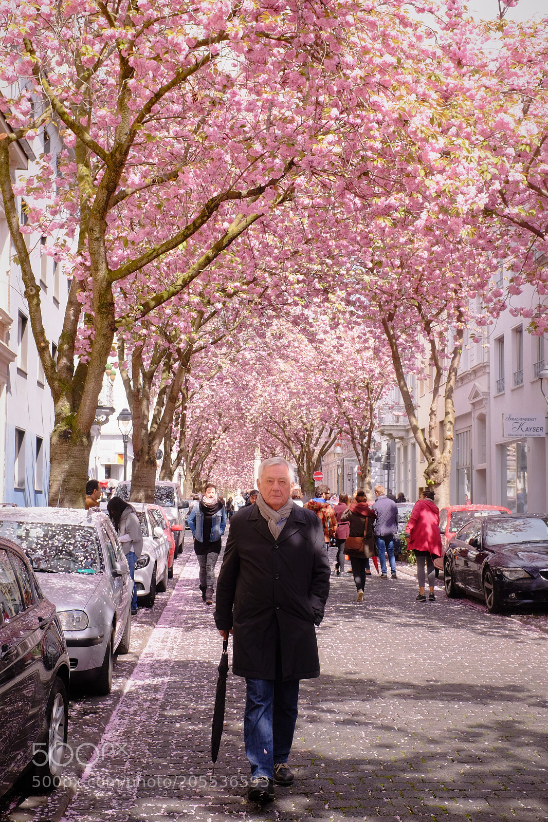 Fujifilm X100T sample photo. Cherry blossom in bonn photography