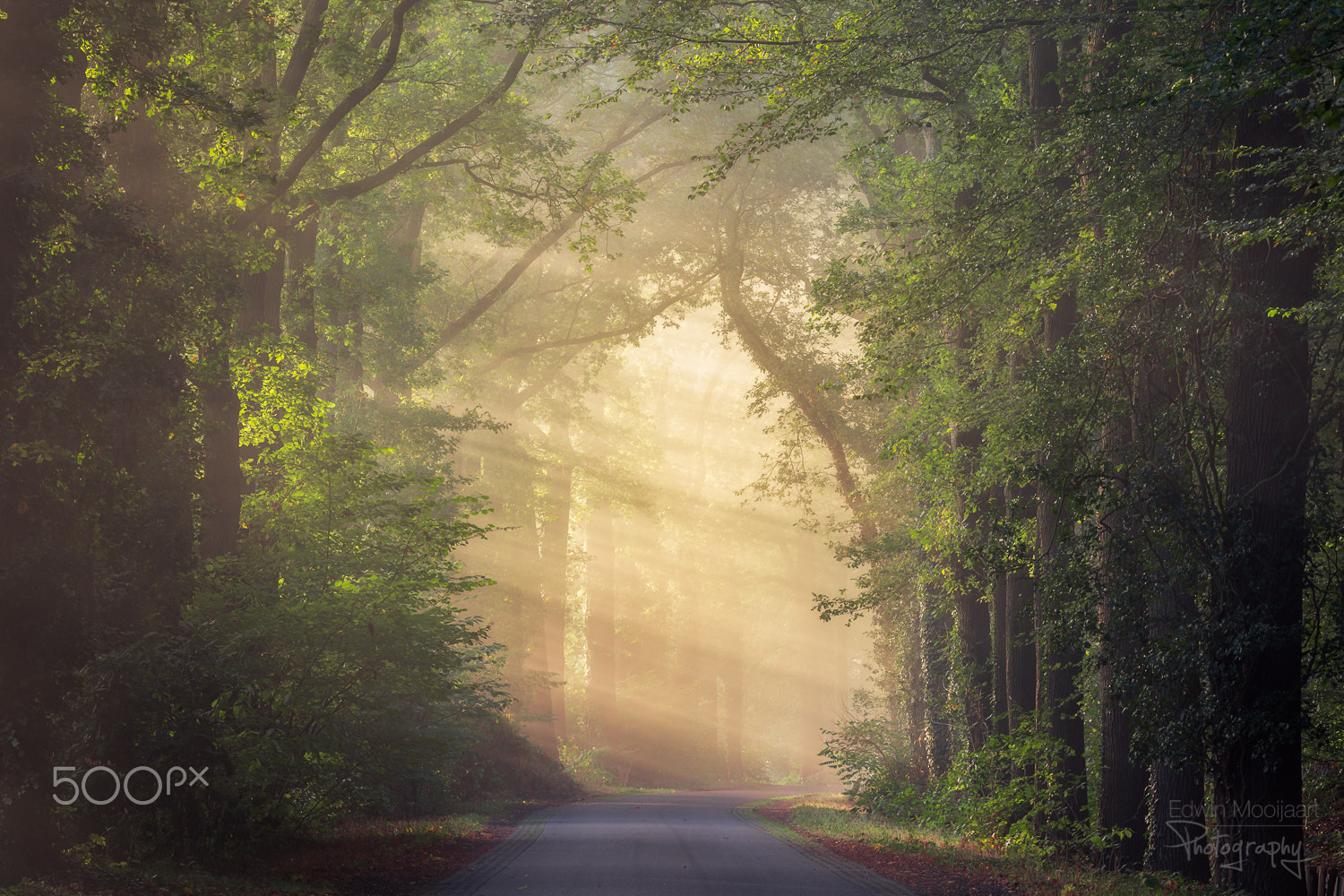 Canon EF 70-300mm F4-5.6L IS USM sample photo. Fairytale road photography
