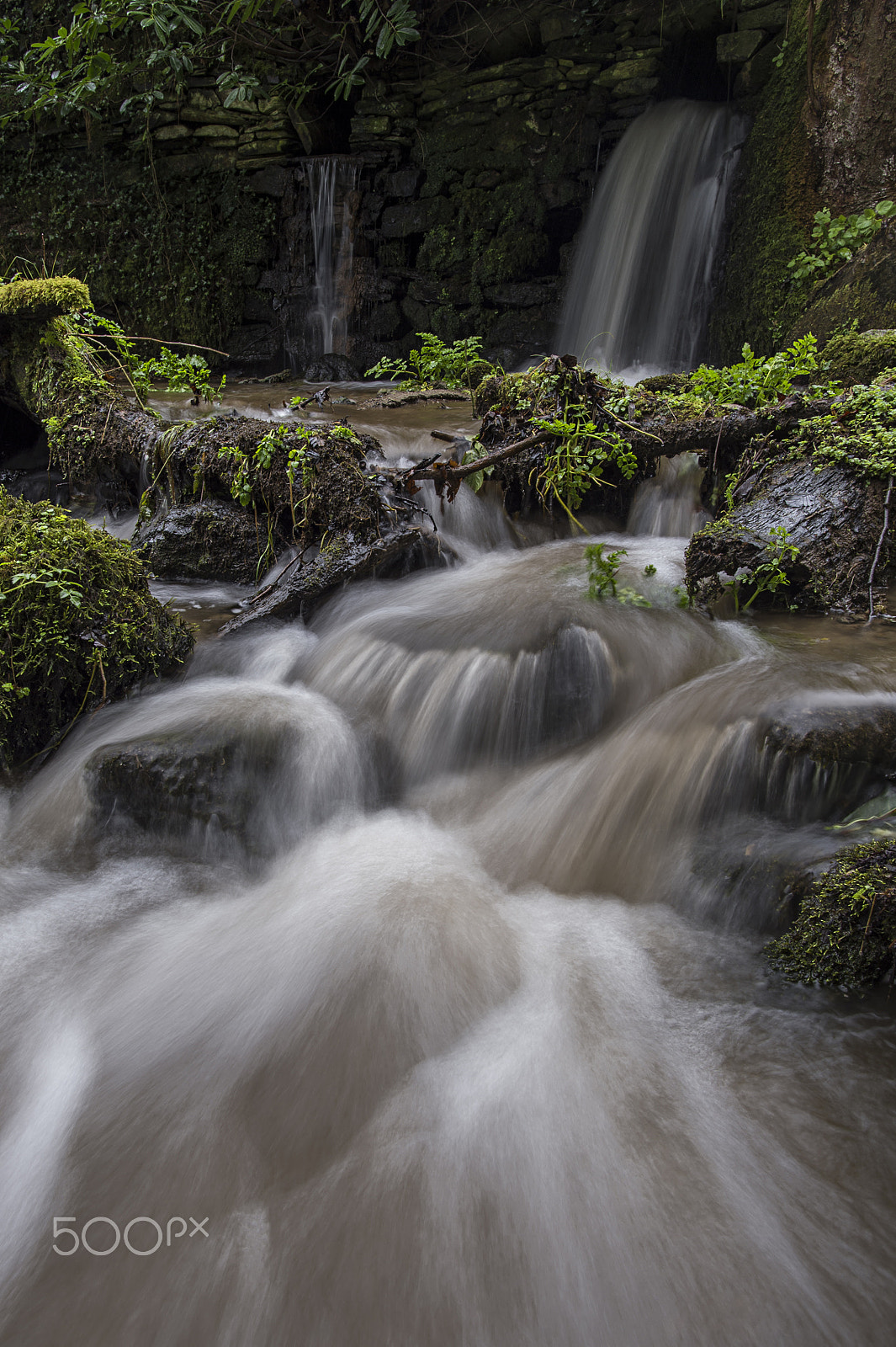 Nikon D4S sample photo. Falls near restormel castle, cornwall, uk. photography