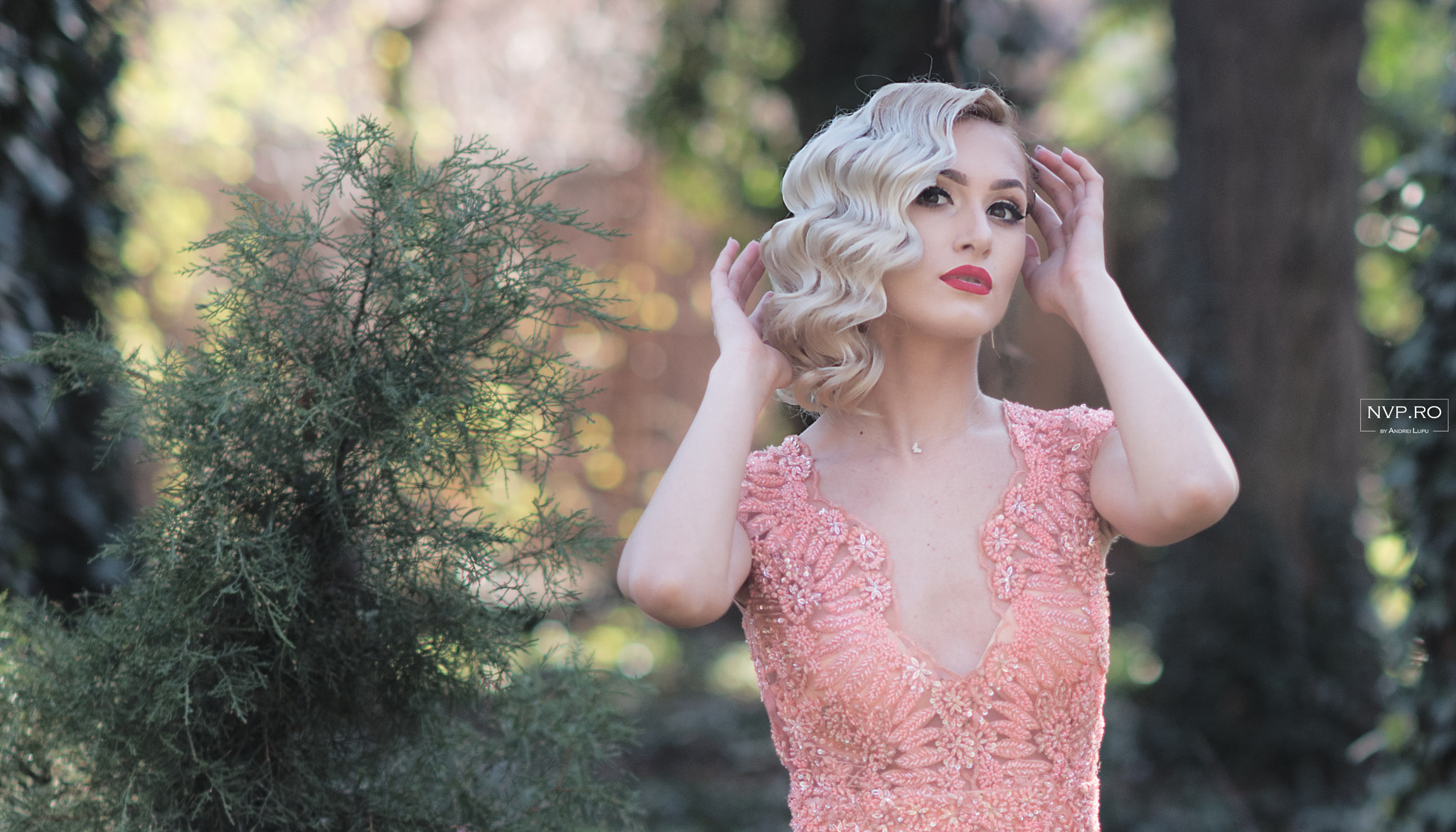 Nikon D750 + Nikon AF-S Nikkor 85mm F1.4G sample photo. Nvp_5400-1.jpg photography