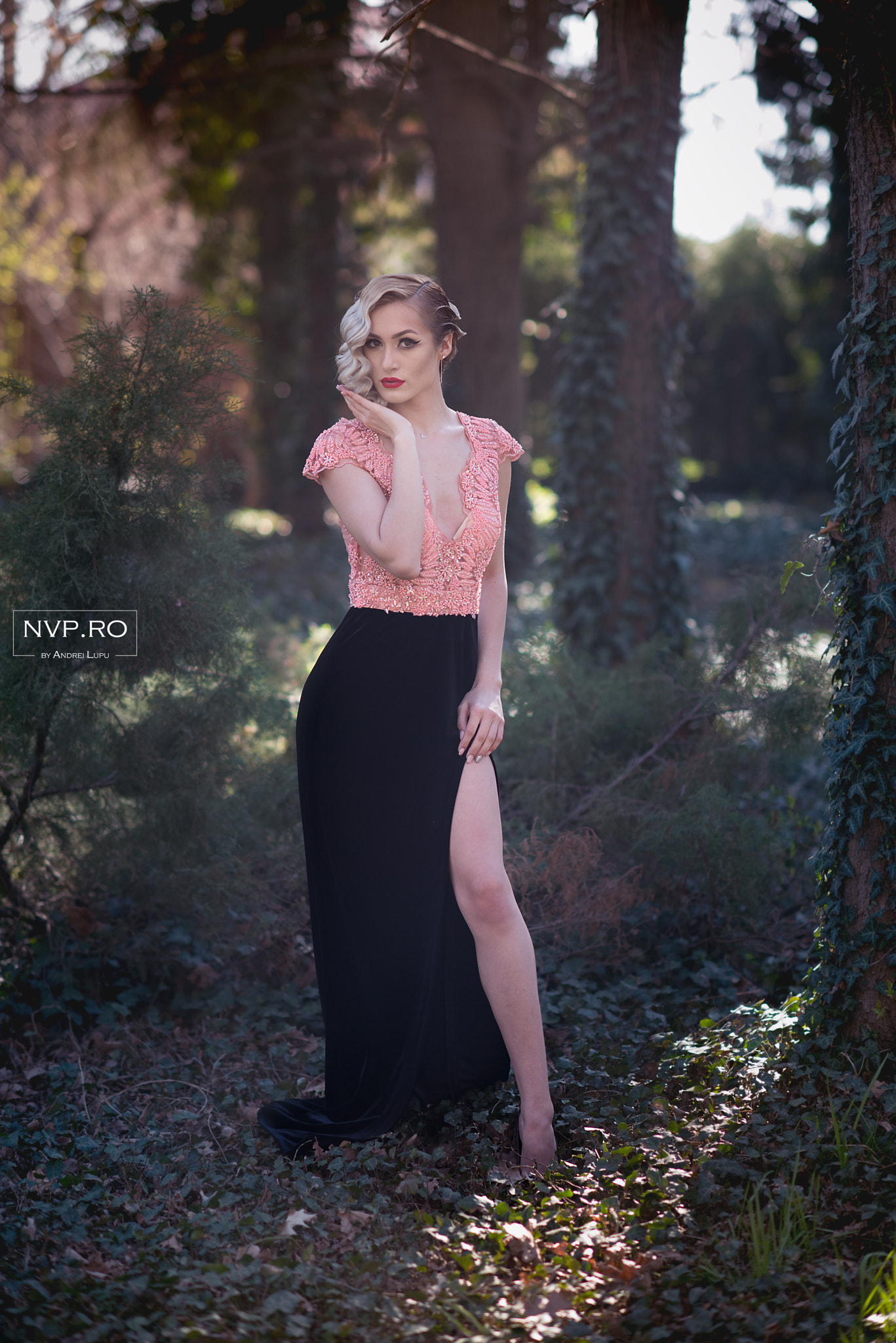 Nikon D750 + Nikon AF-S Nikkor 85mm F1.4G sample photo. Nvp_5396-1.jpg photography