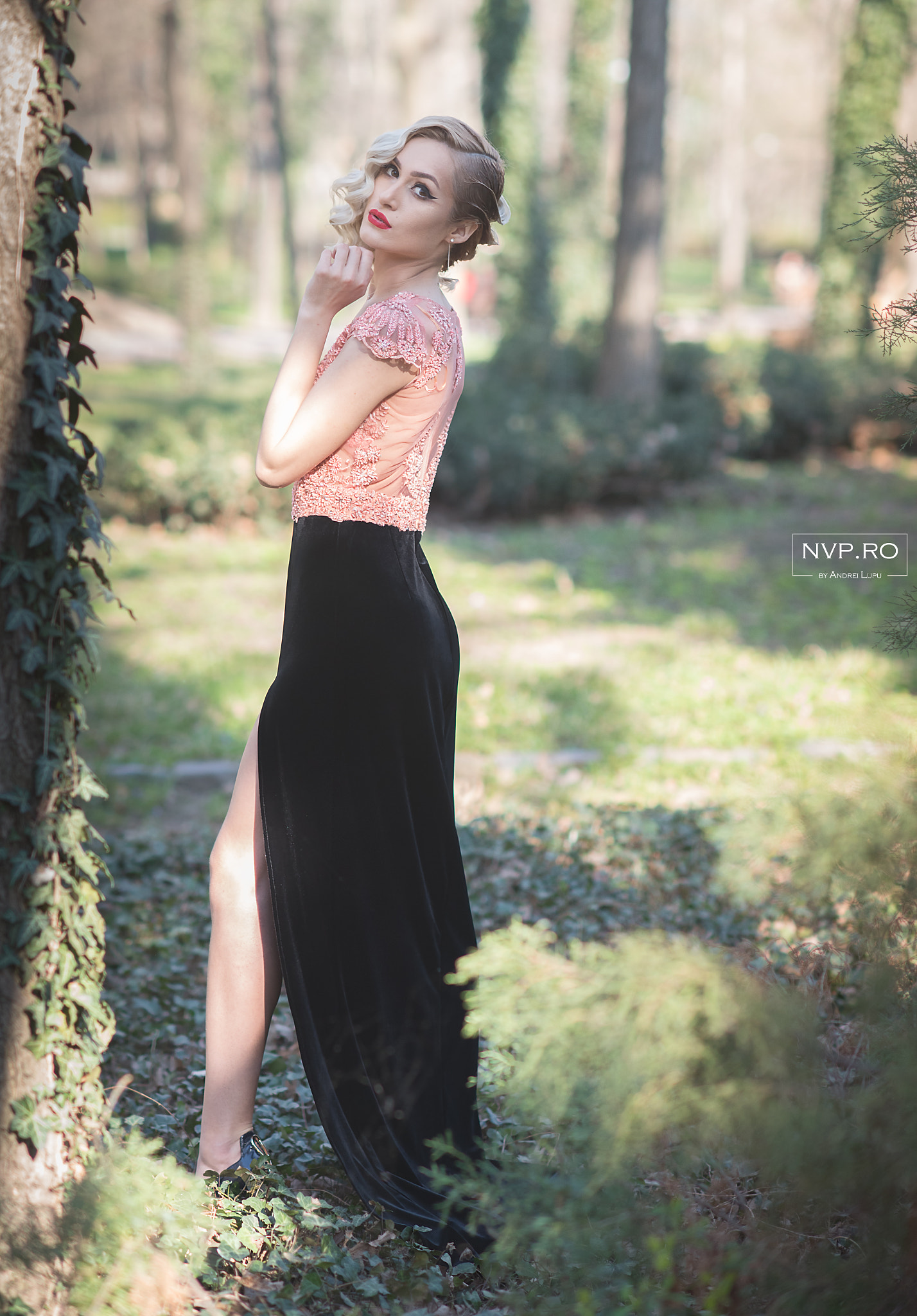 Nikon D750 + Nikon AF-S Nikkor 85mm F1.4G sample photo. Nvp_5425-1.jpg photography