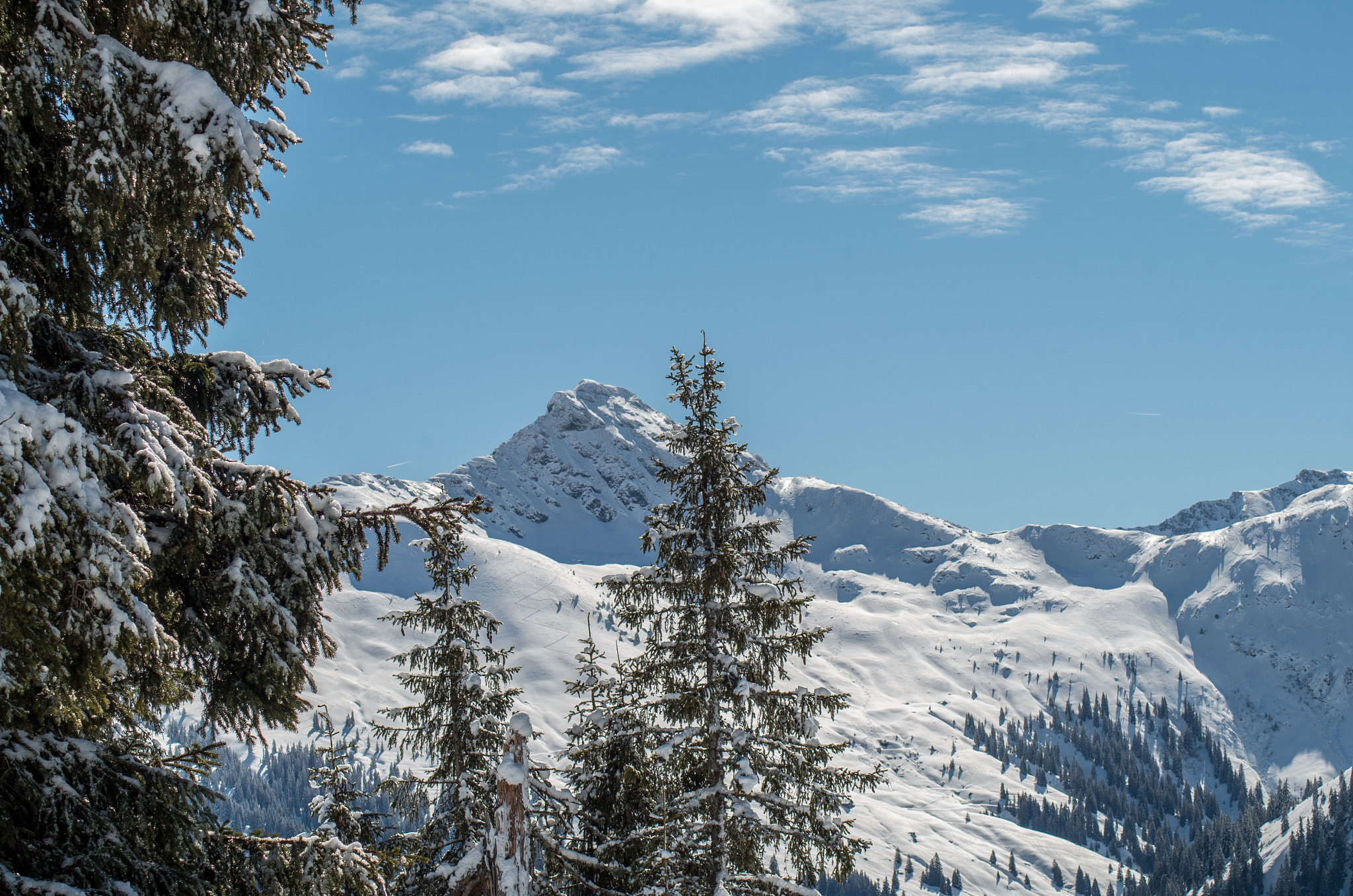Tamron AF 70-300mm F4-5.6 LD Macro 1:2 sample photo. Austrian winter photography