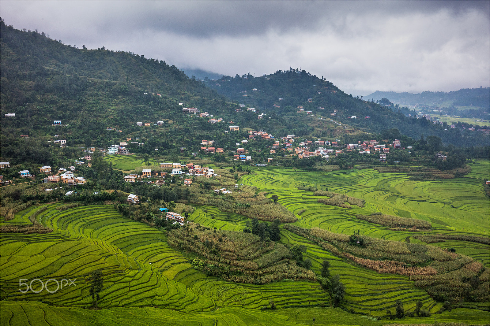 Canon EF 16-35mm F4L IS USM sample photo. The paddy fields photography