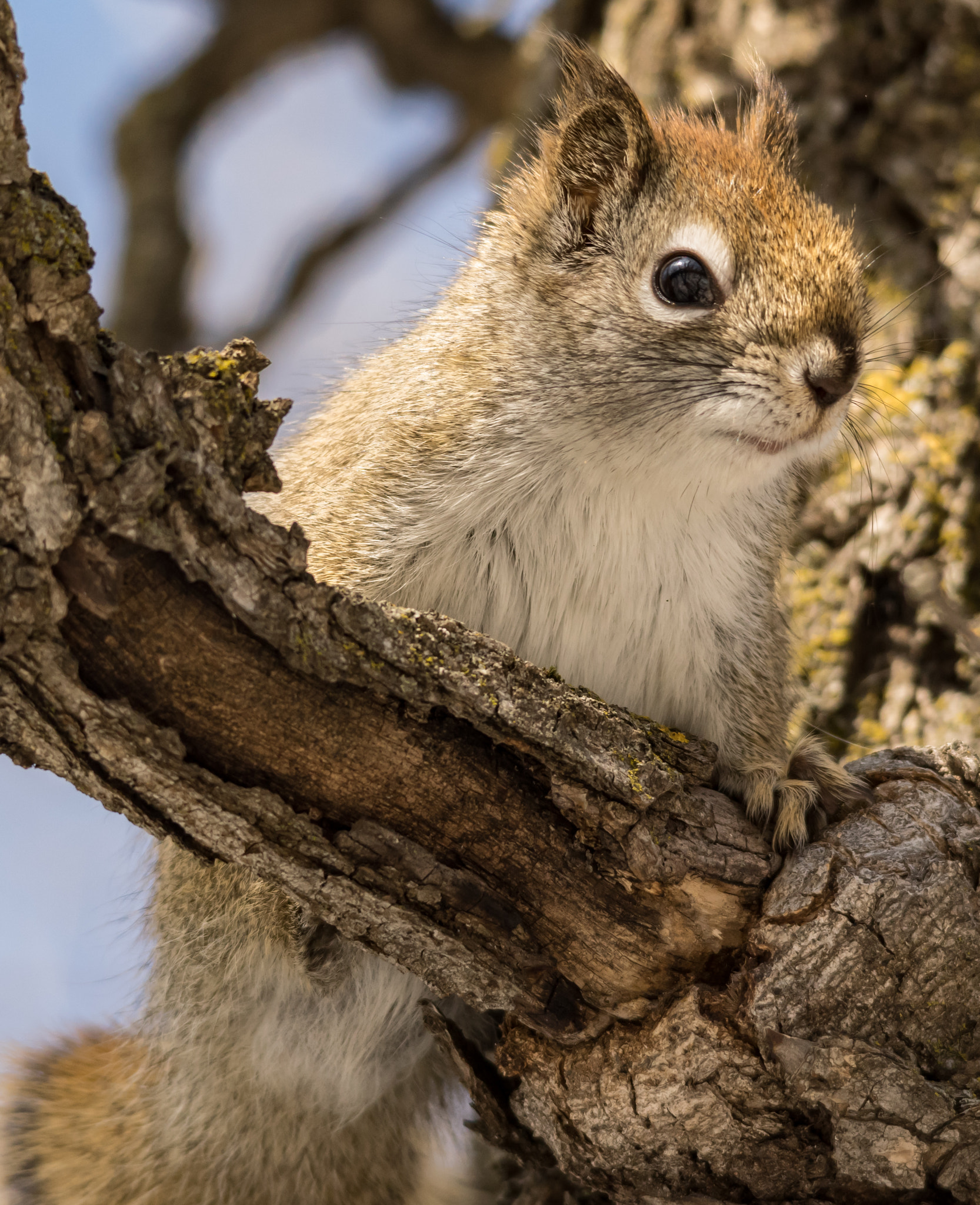 Pentax K-3 II sample photo. On watch photography