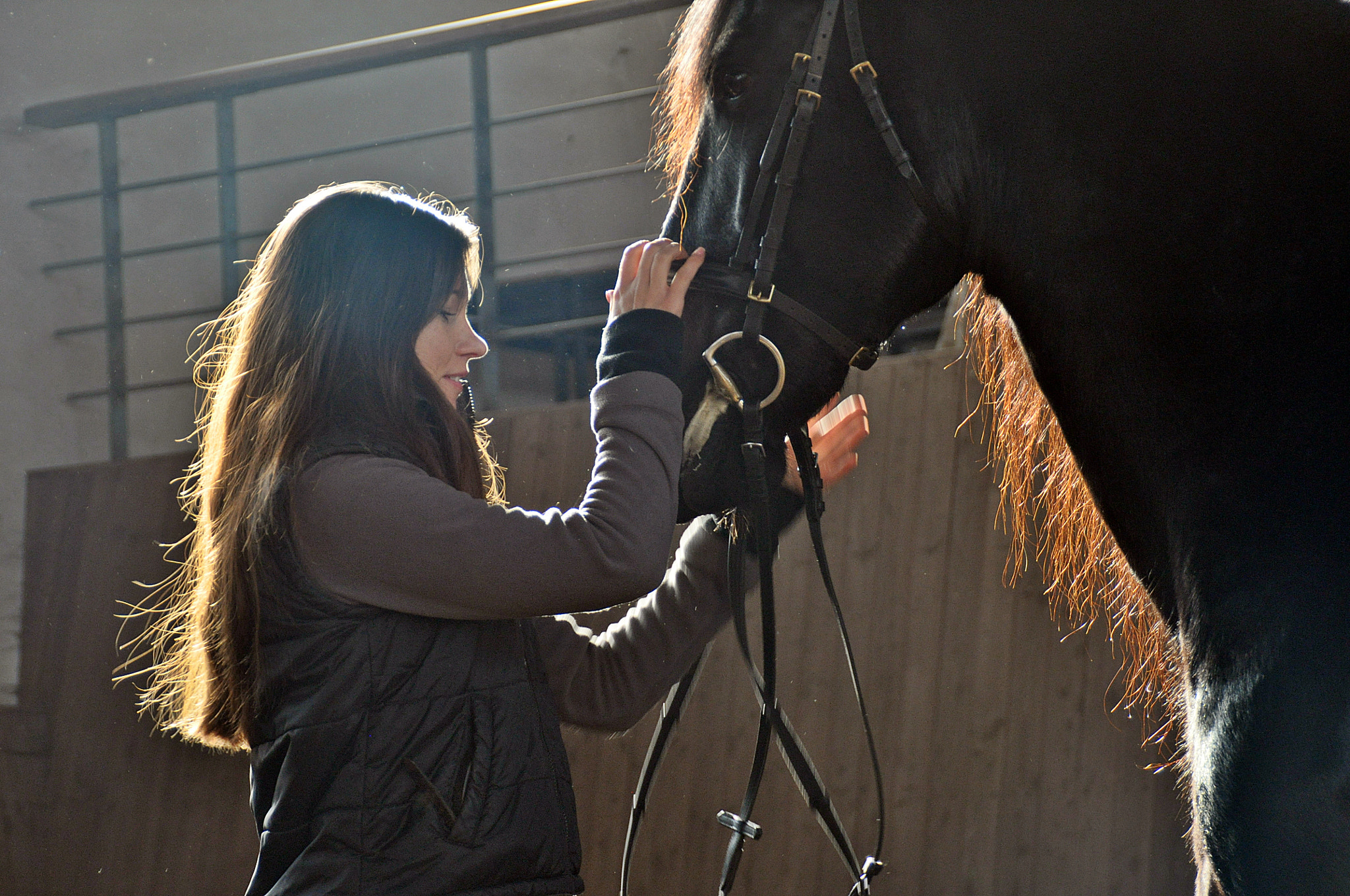 Nikon D5000 sample photo. Pferdeshooting () photography