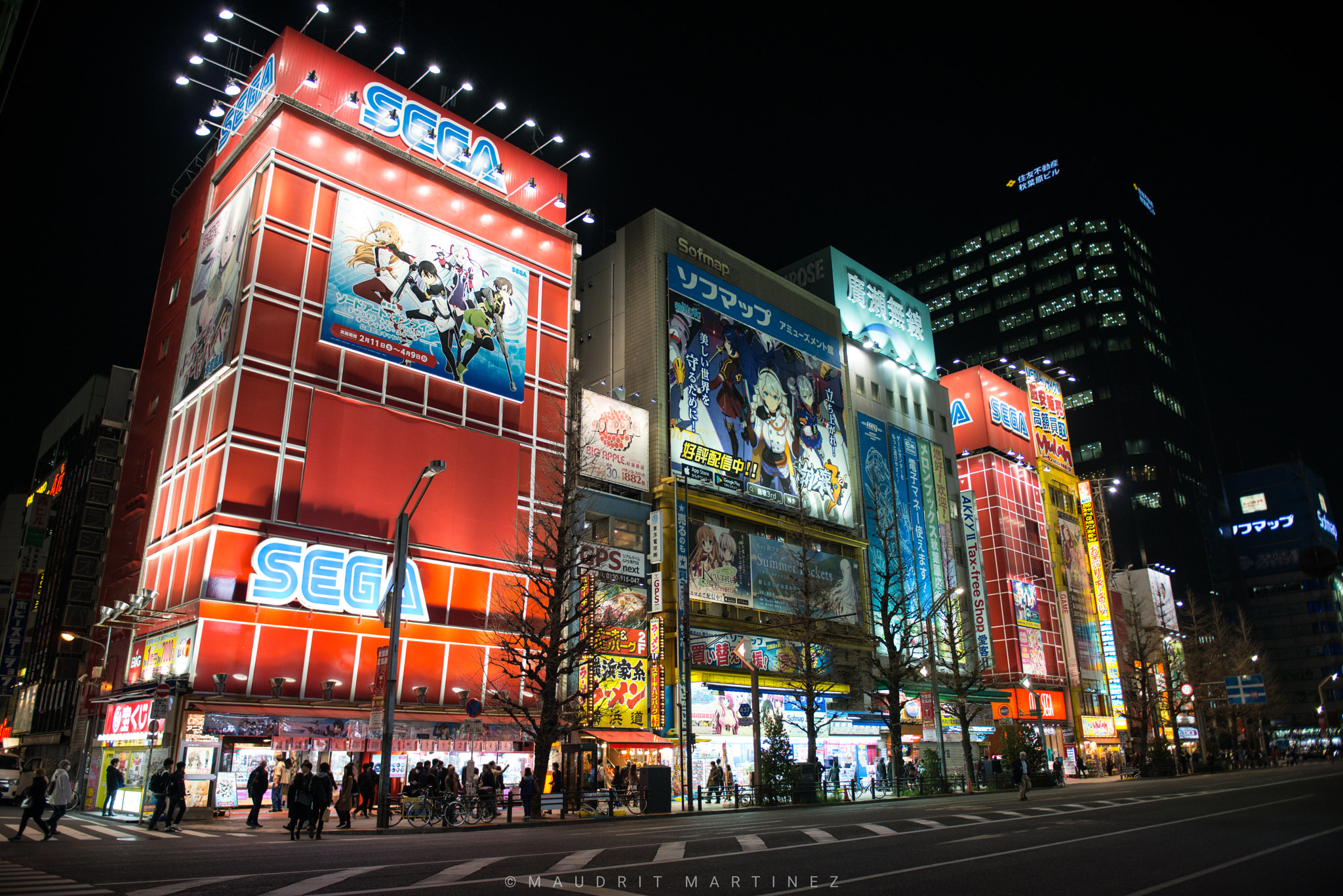 Nikon AF-S Nikkor 24-70mm F2.8G ED sample photo. Akihabara photography