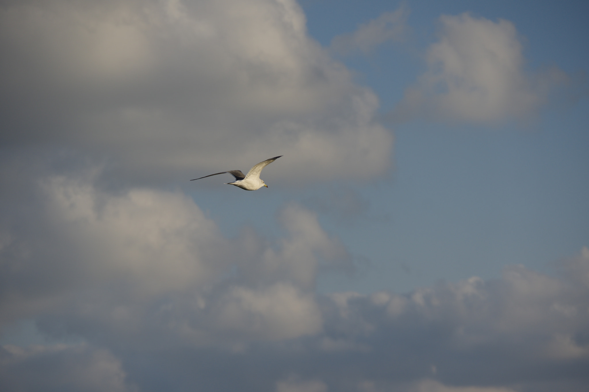 Pentax K-3 sample photo. To the sky photography