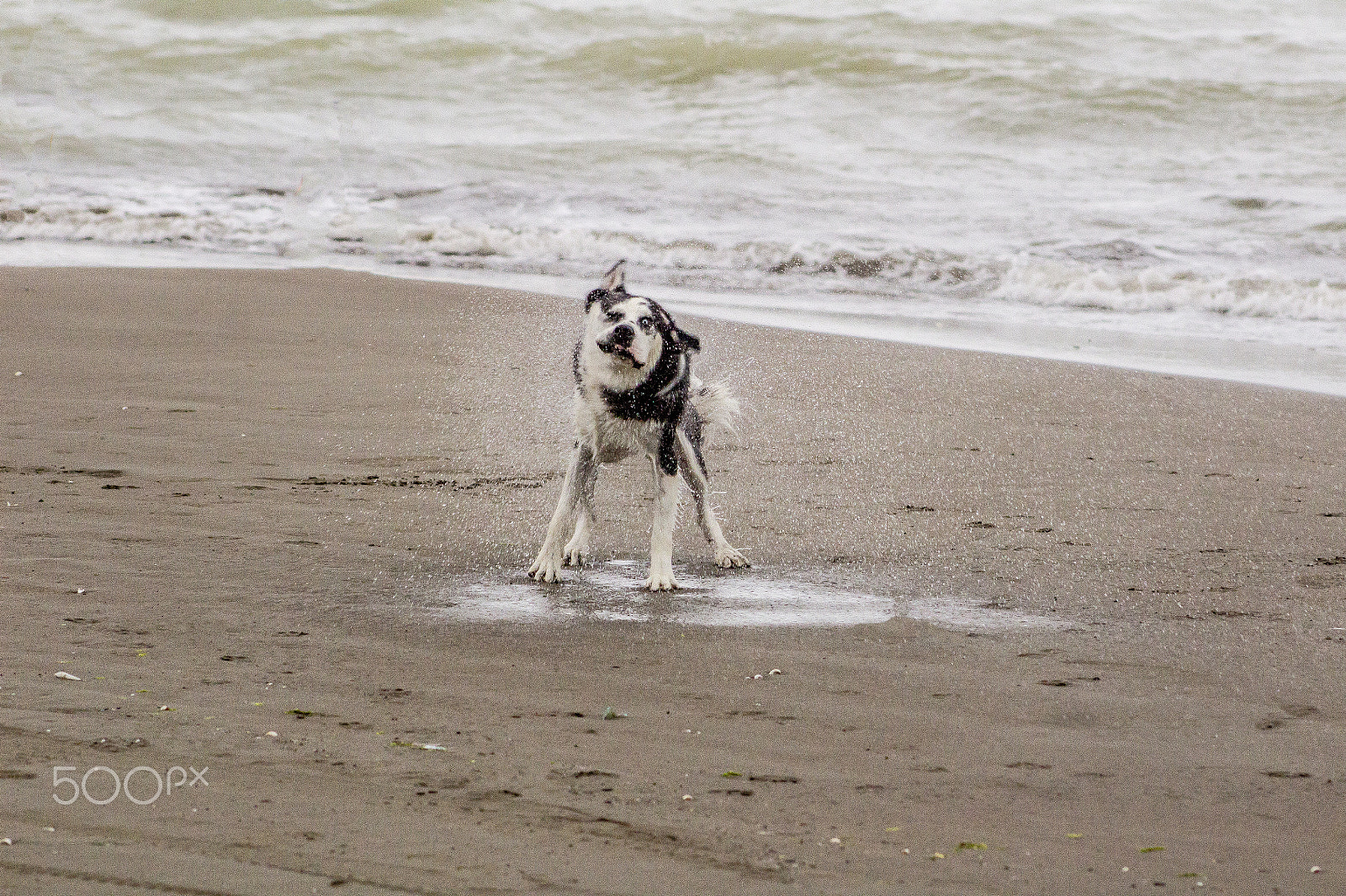 Canon EOS 1200D (EOS Rebel T5 / EOS Kiss X70 / EOS Hi) + EF75-300mm f/4-5.6 sample photo. After swim photography