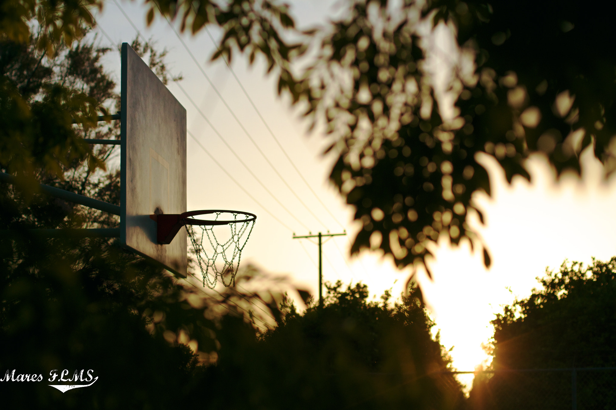 Canon EOS 7D sample photo. Basket photography