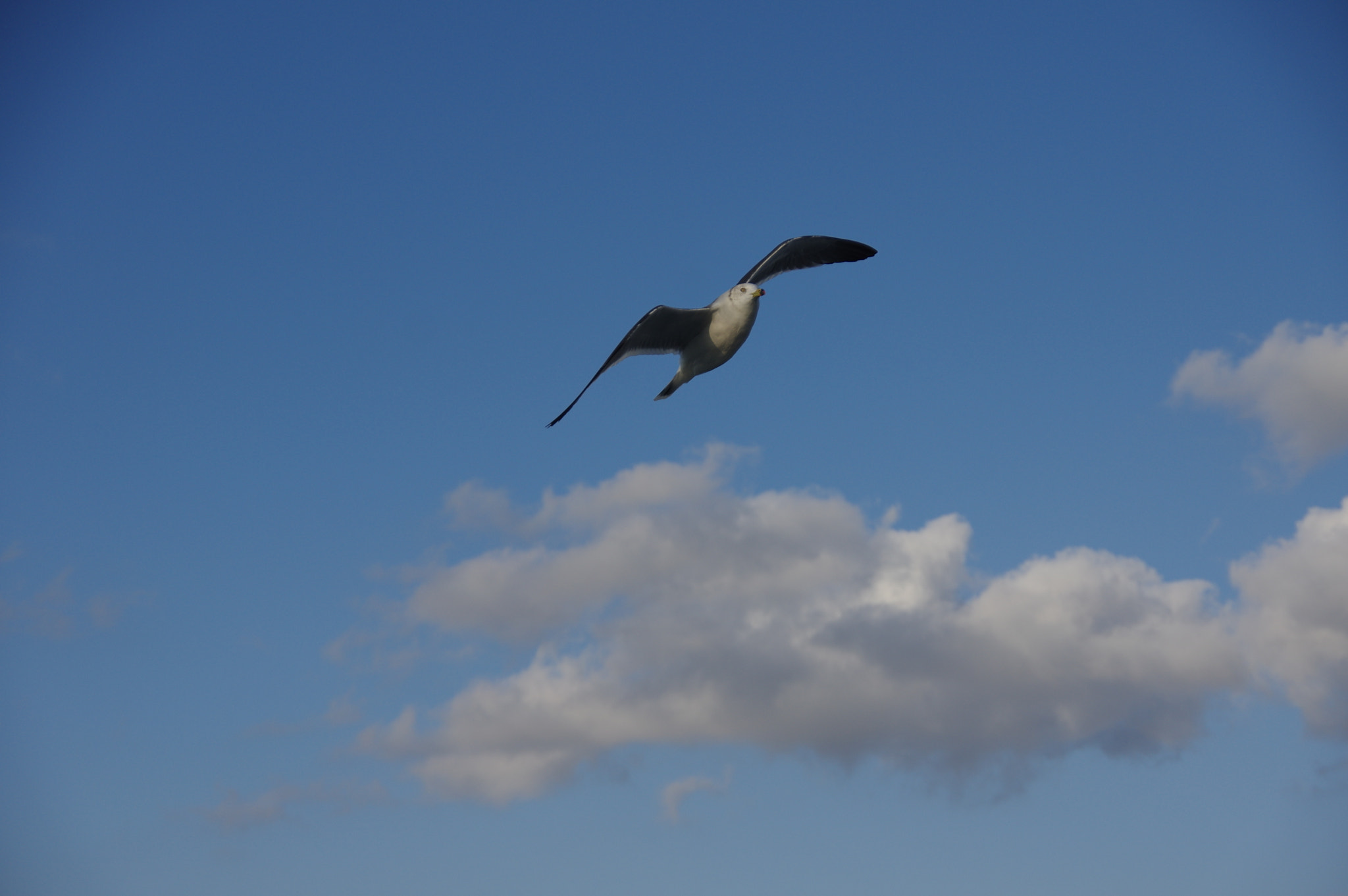 Pentax K-3 sample photo. Blue sky photography