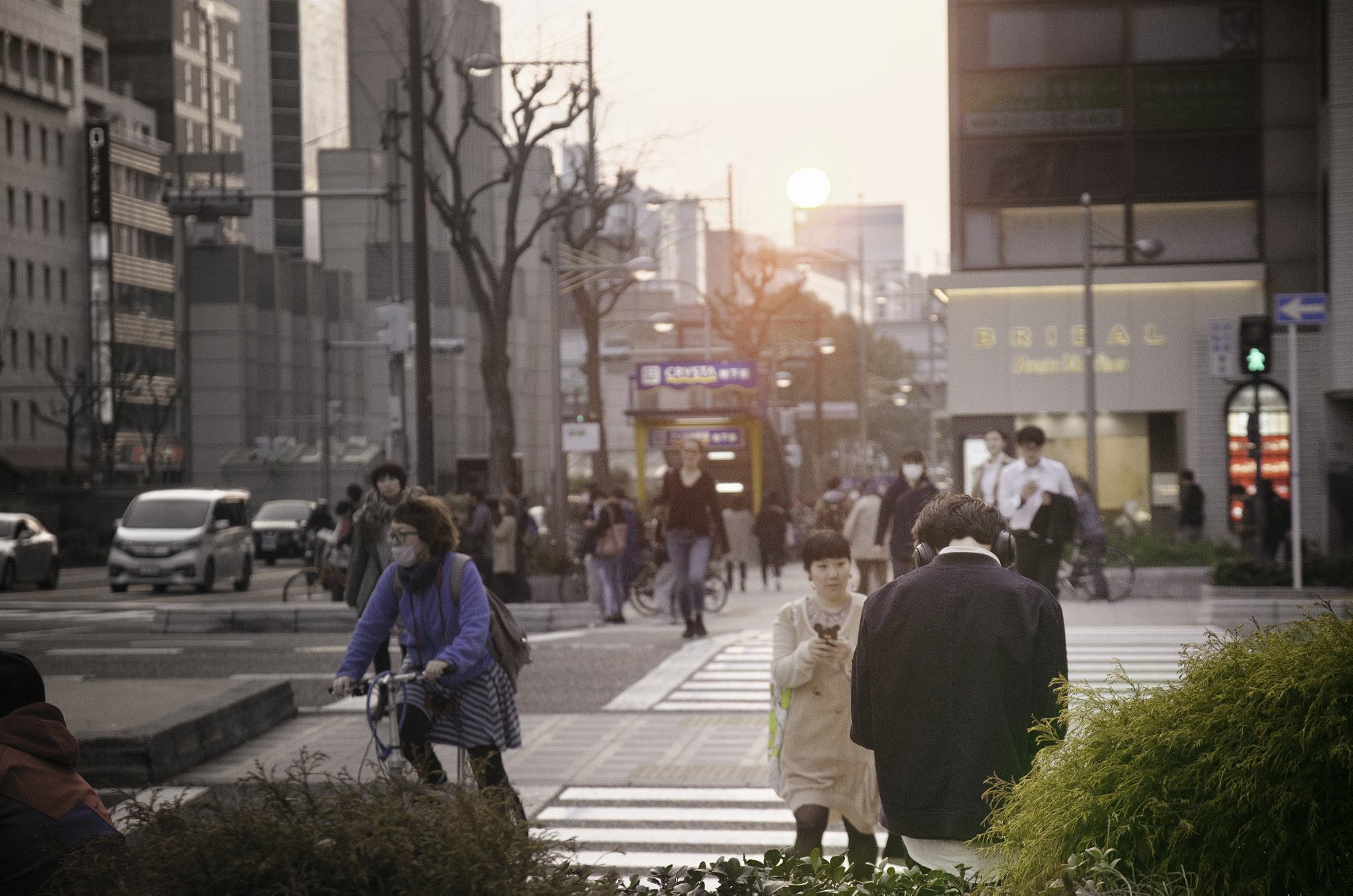 Sigma 17-70mm F2.8-4 DC Macro OS HSM | C sample photo. A moment at dusk photography