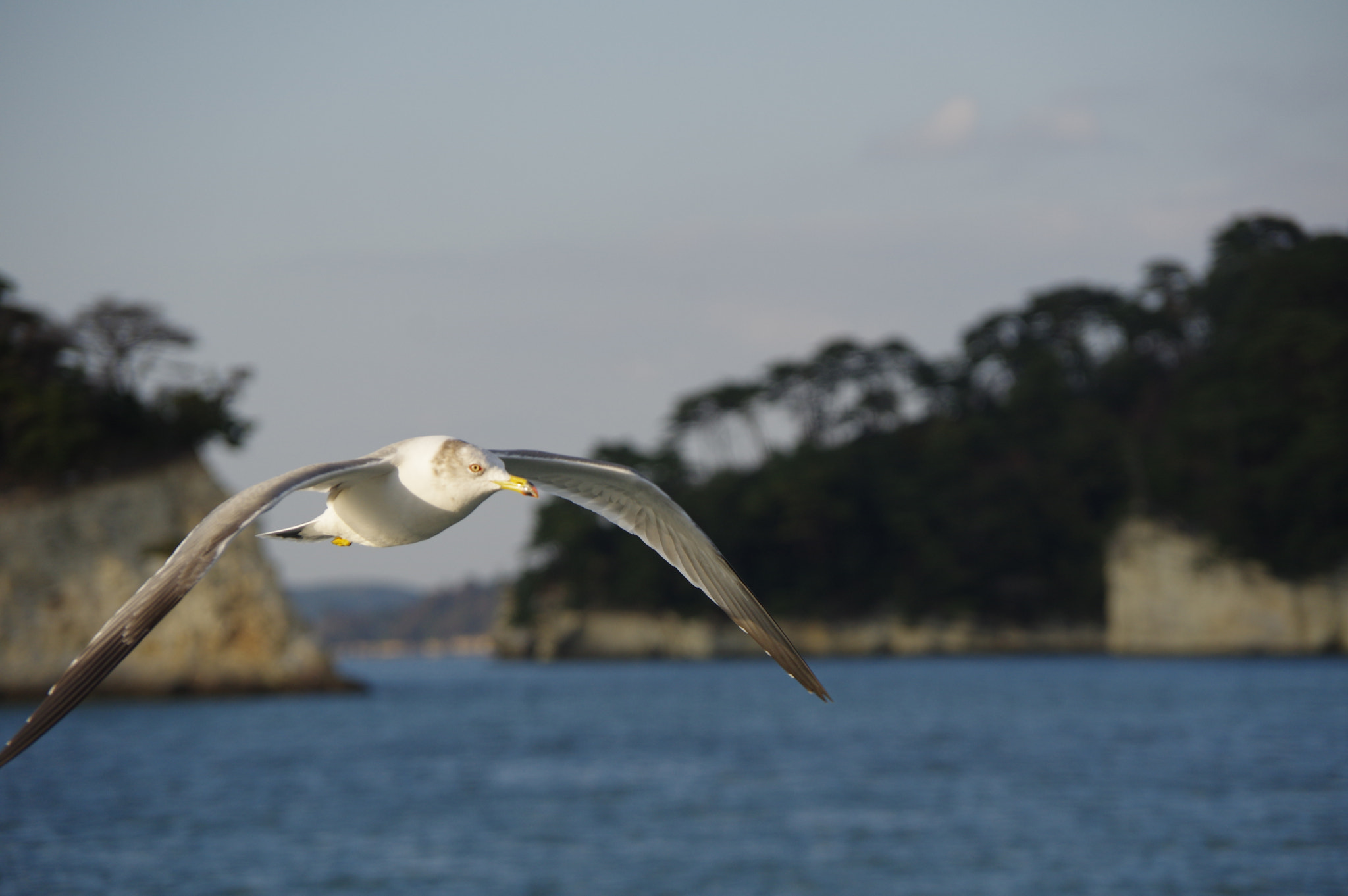 Pentax K-3 sample photo. Wave photography