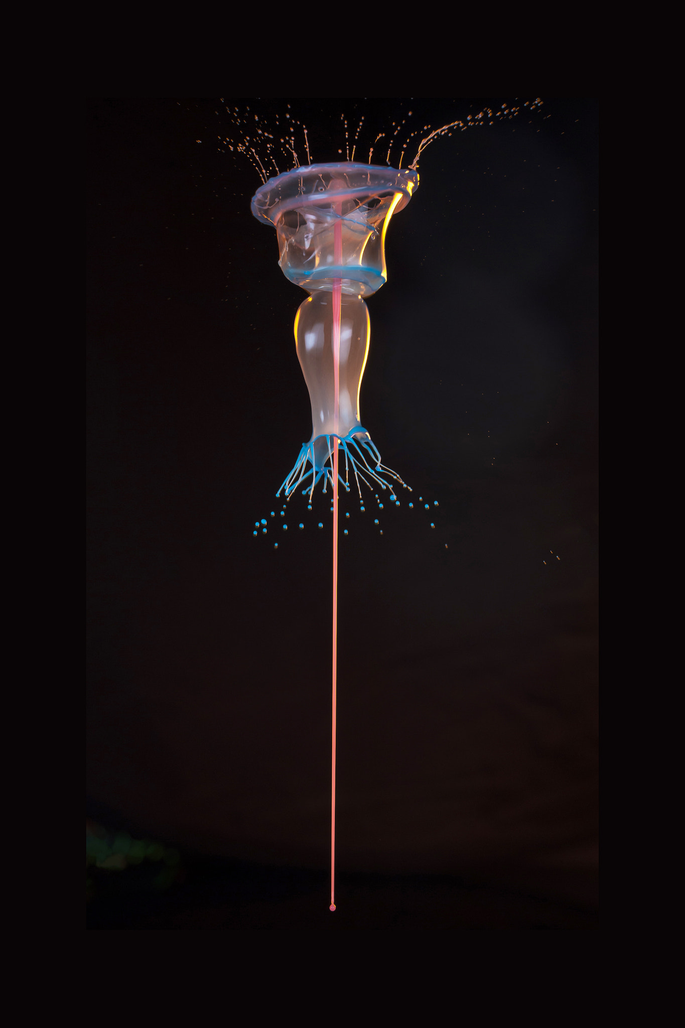 Nikon D700 sample photo. Water drop art 4 photography