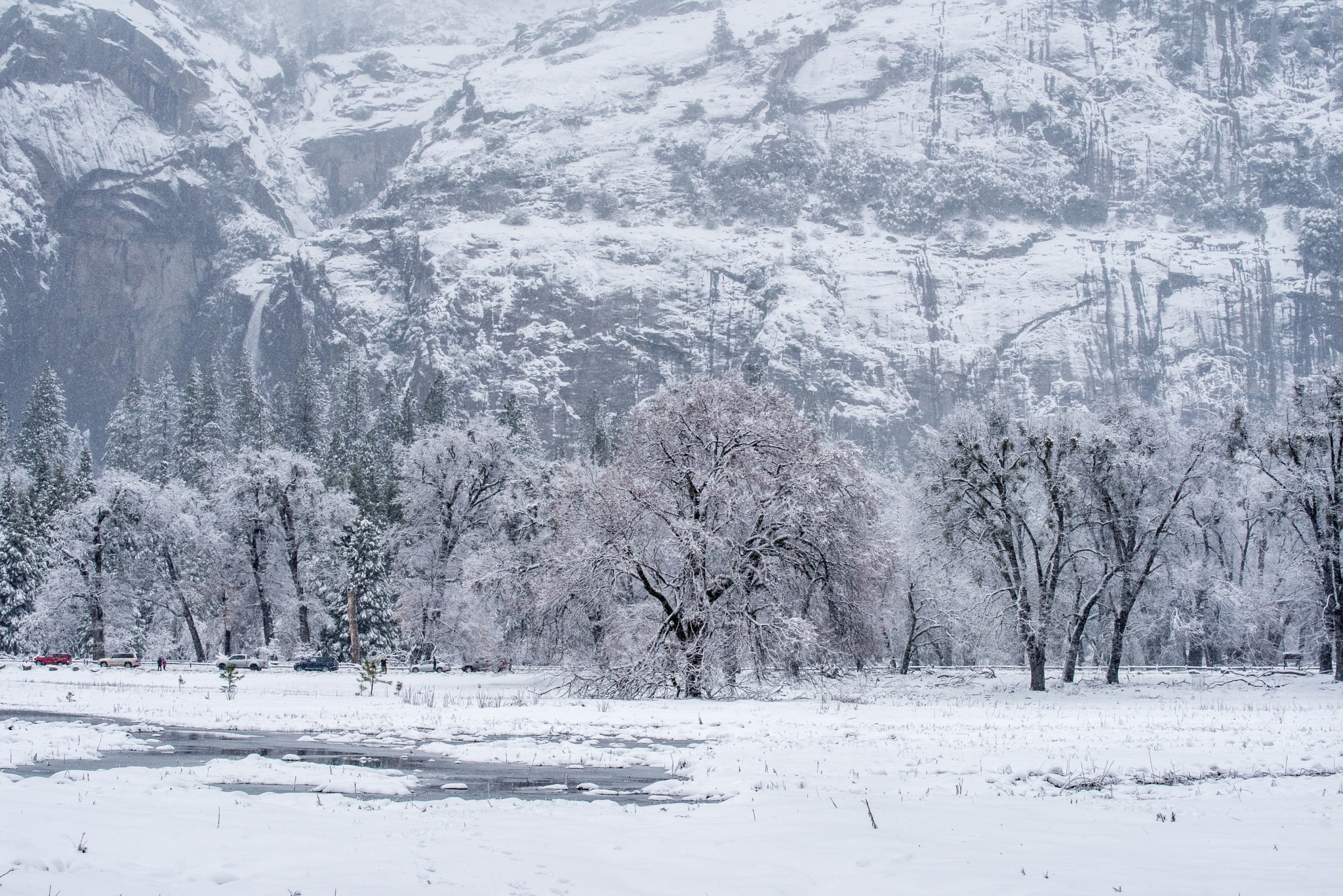 Nikon D810 sample photo. Yosemite in winter photography
