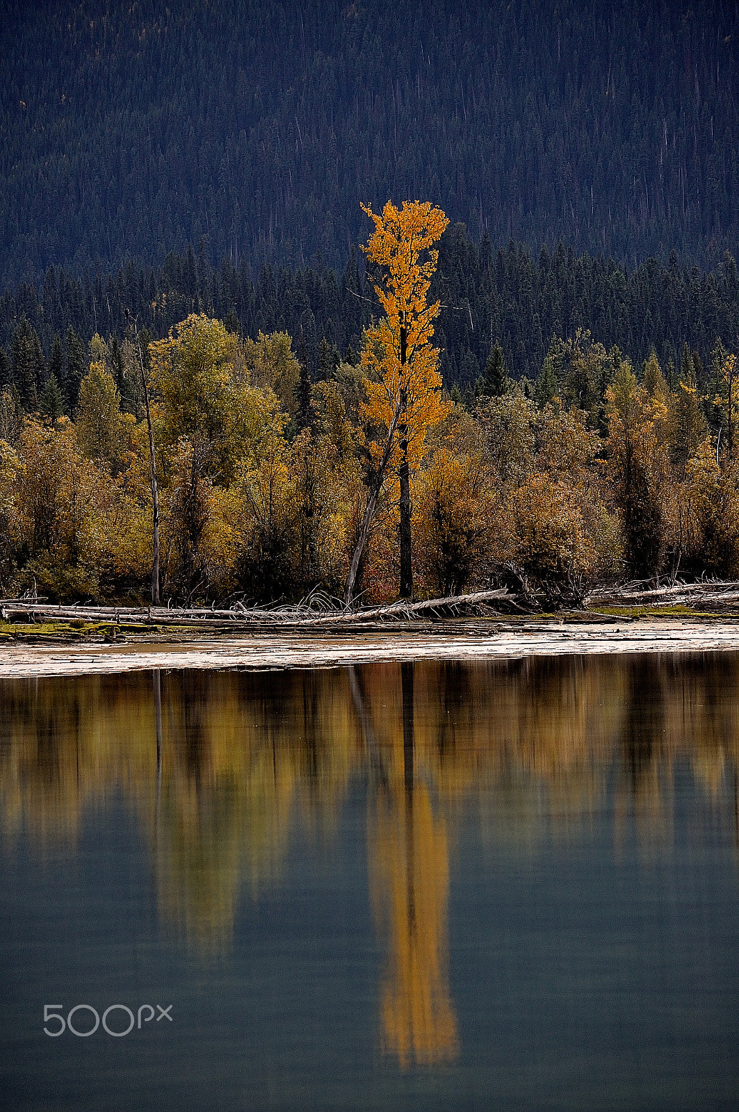 Nikon D90 sample photo. Reflection photography