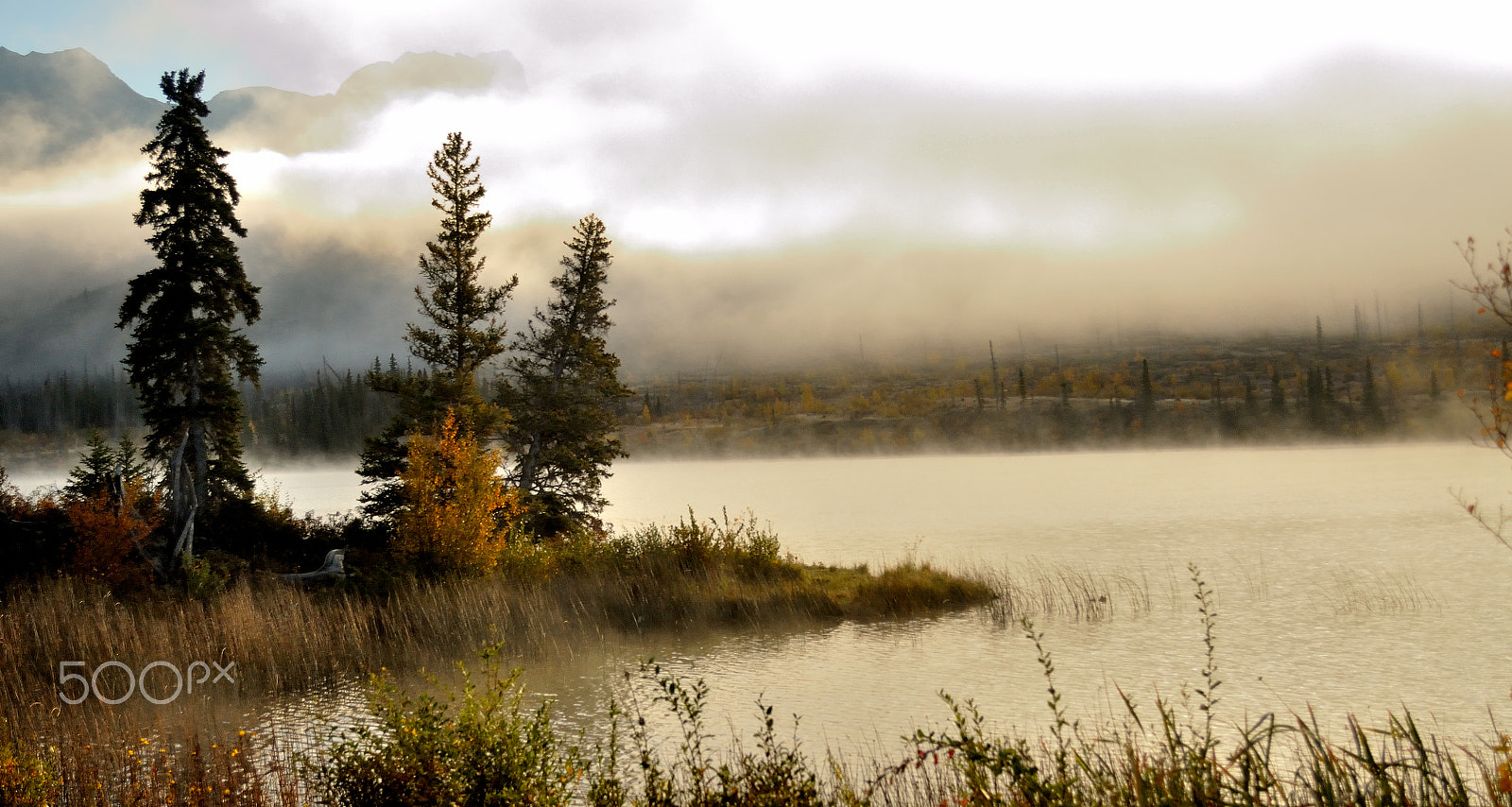 Nikon D90 sample photo. Mist rolling in photography