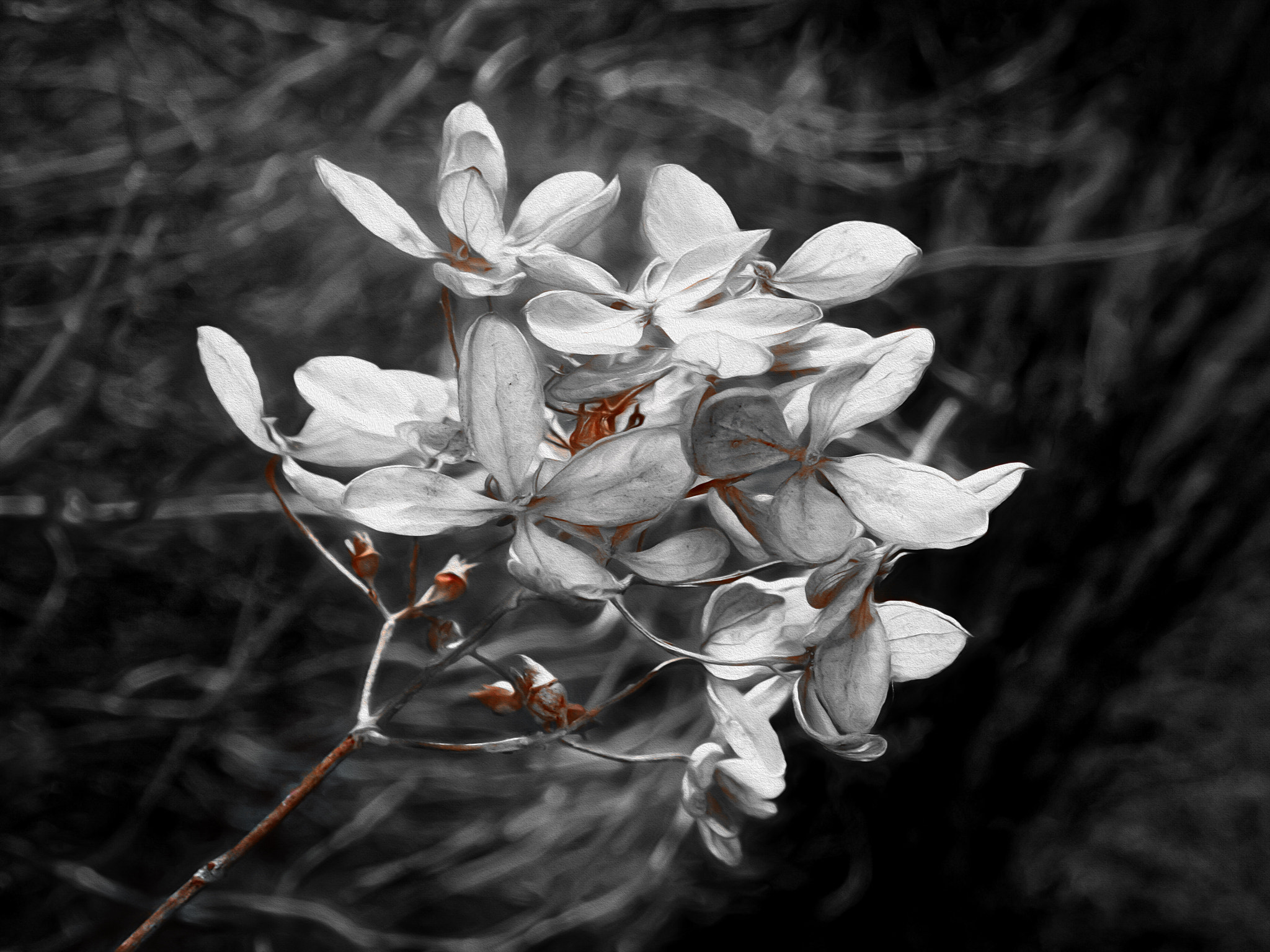 Olympus TG-3 sample photo
