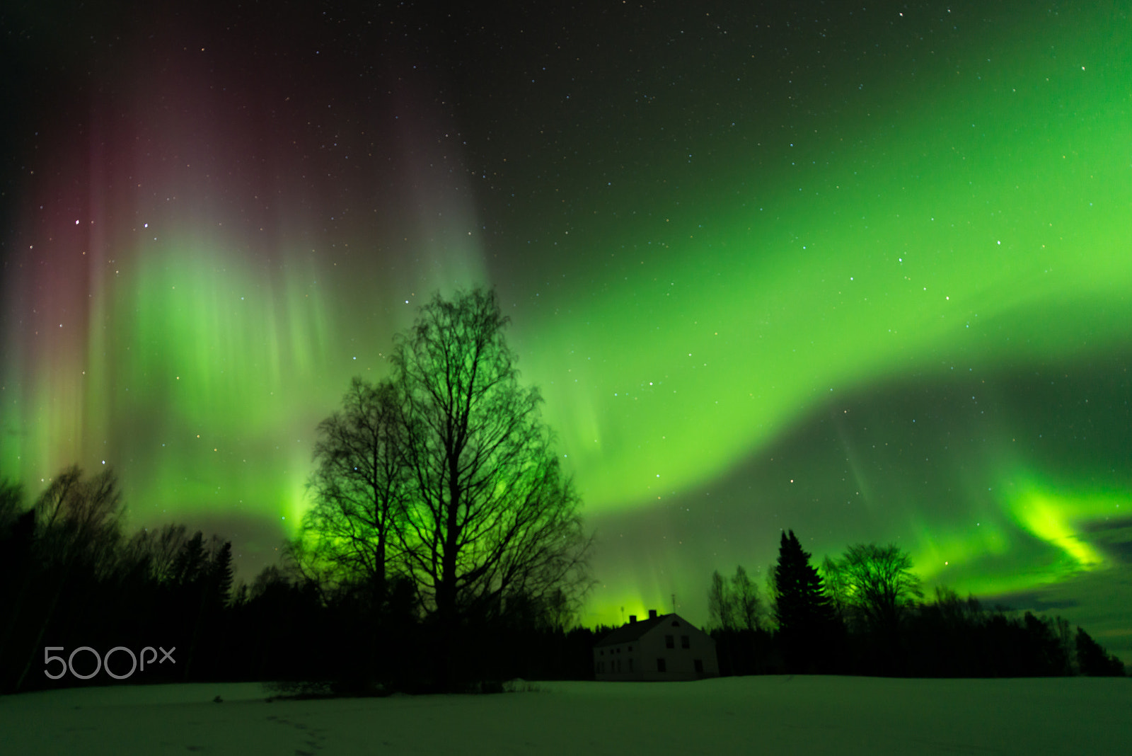 Nikon AF-S Nikkor 14-24mm F2.8G ED sample photo. Multicolored aurora photography
