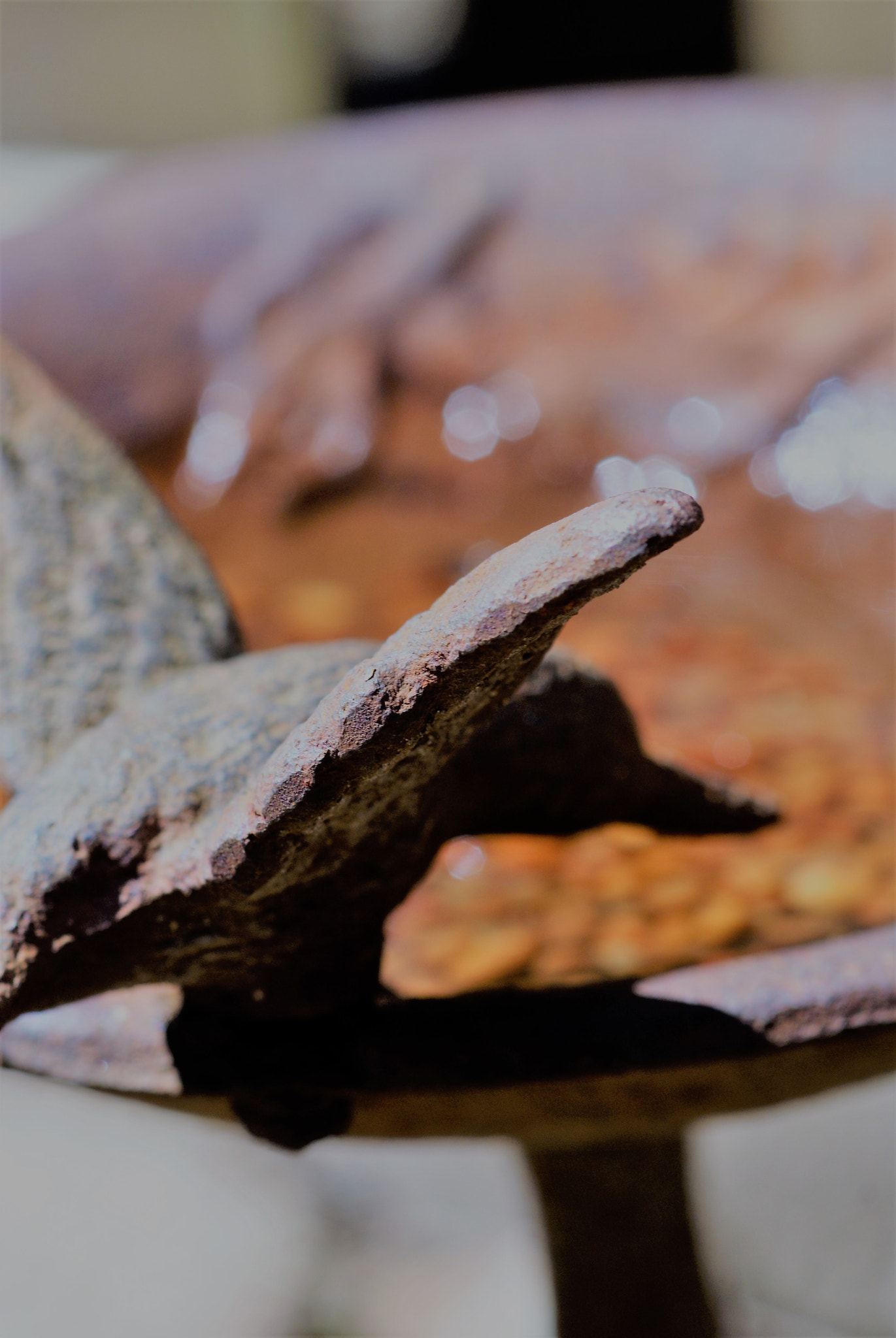 Sony Alpha DSLR-A200 + Tokina EMZ M100 AF 100mm F3.5 sample photo. Detail photography