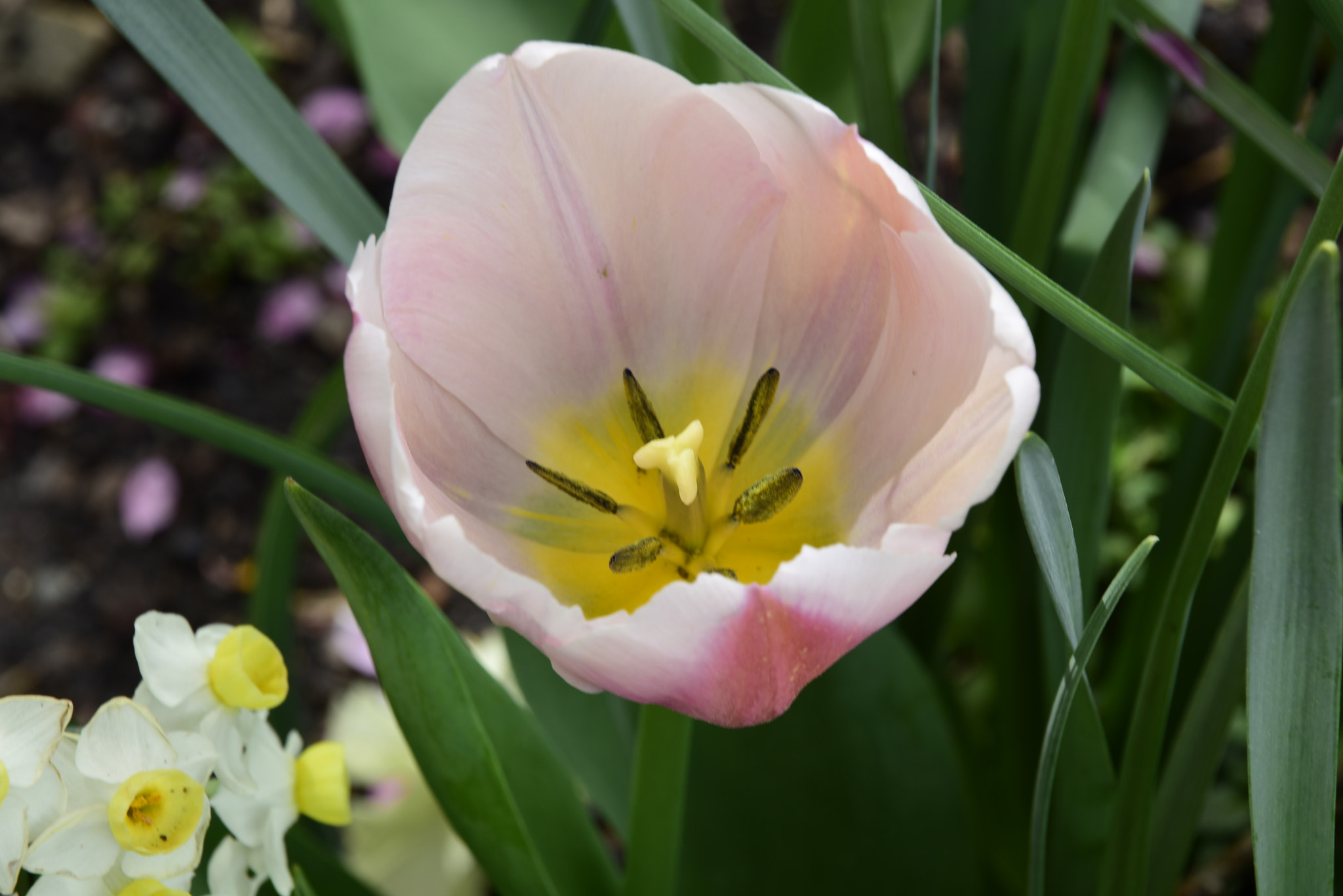 Nikon D810 sample photo