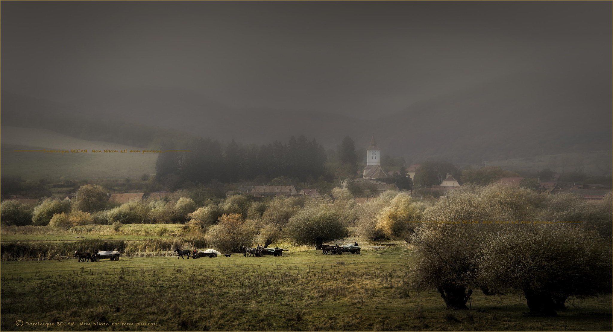 Nikon D4 sample photo. It's time to return home. photography
