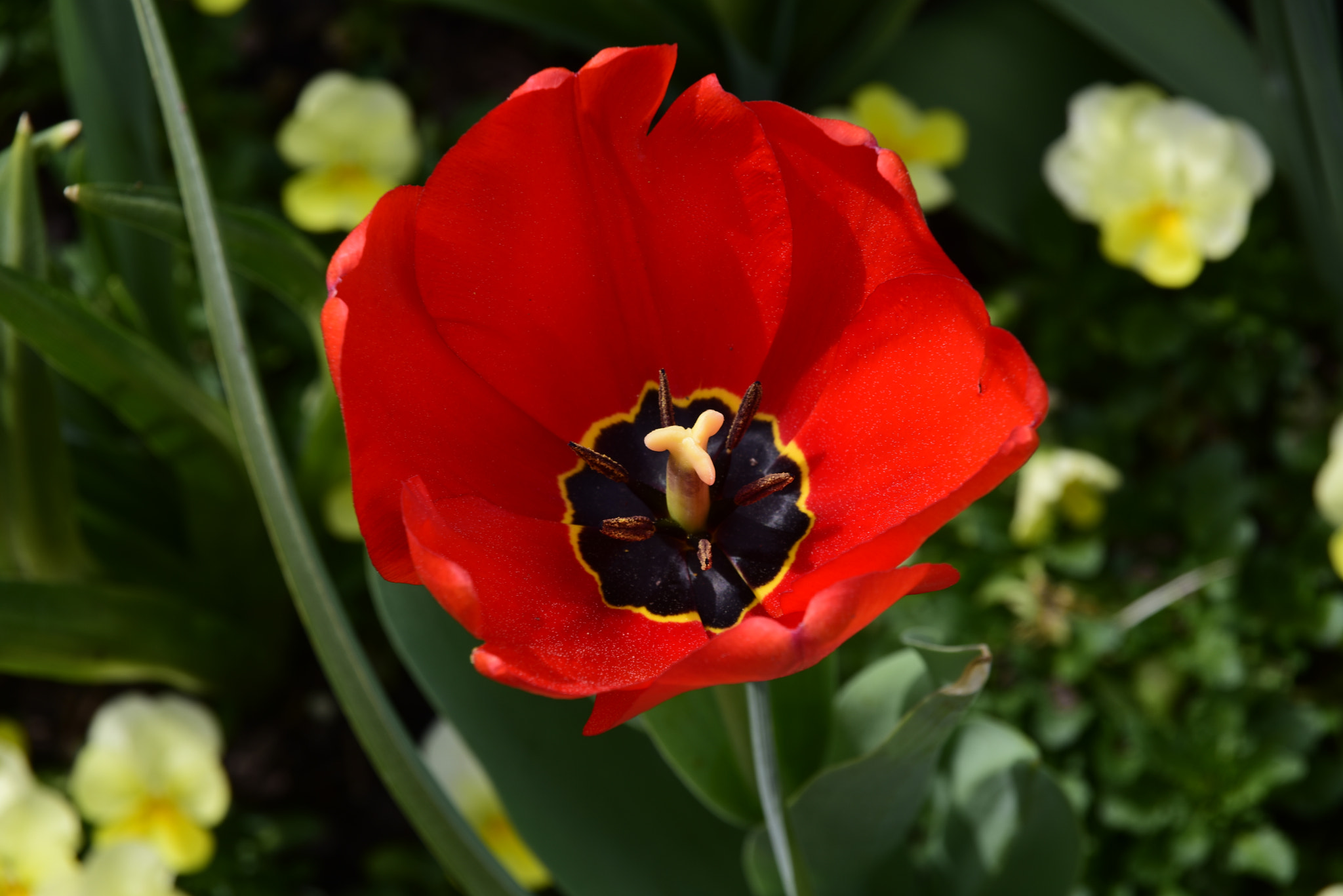 Nikon D810 sample photo