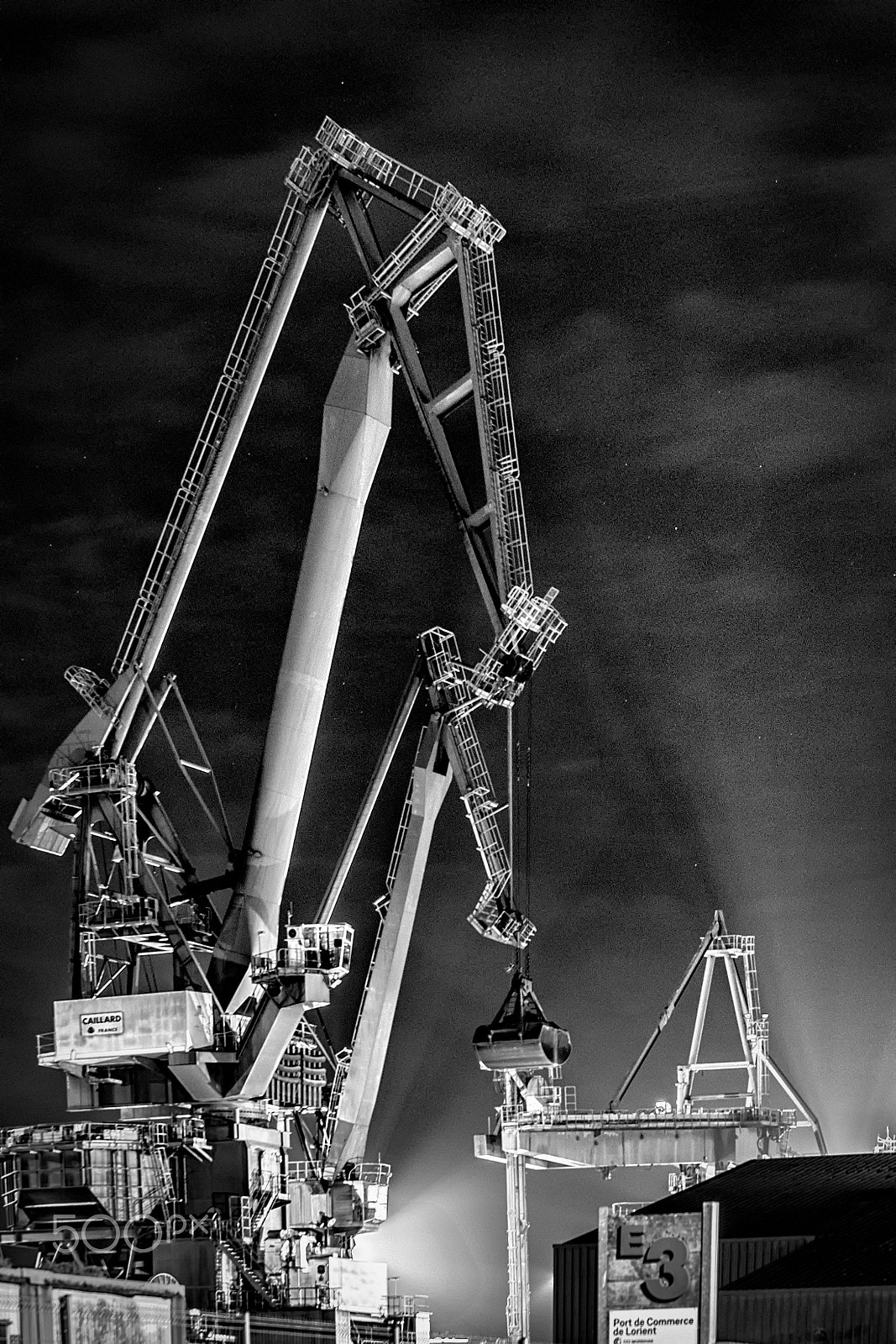 Fujifilm XF 55-200mm F3.5-4.8 R LM OIS sample photo. Sleepy cranes photography