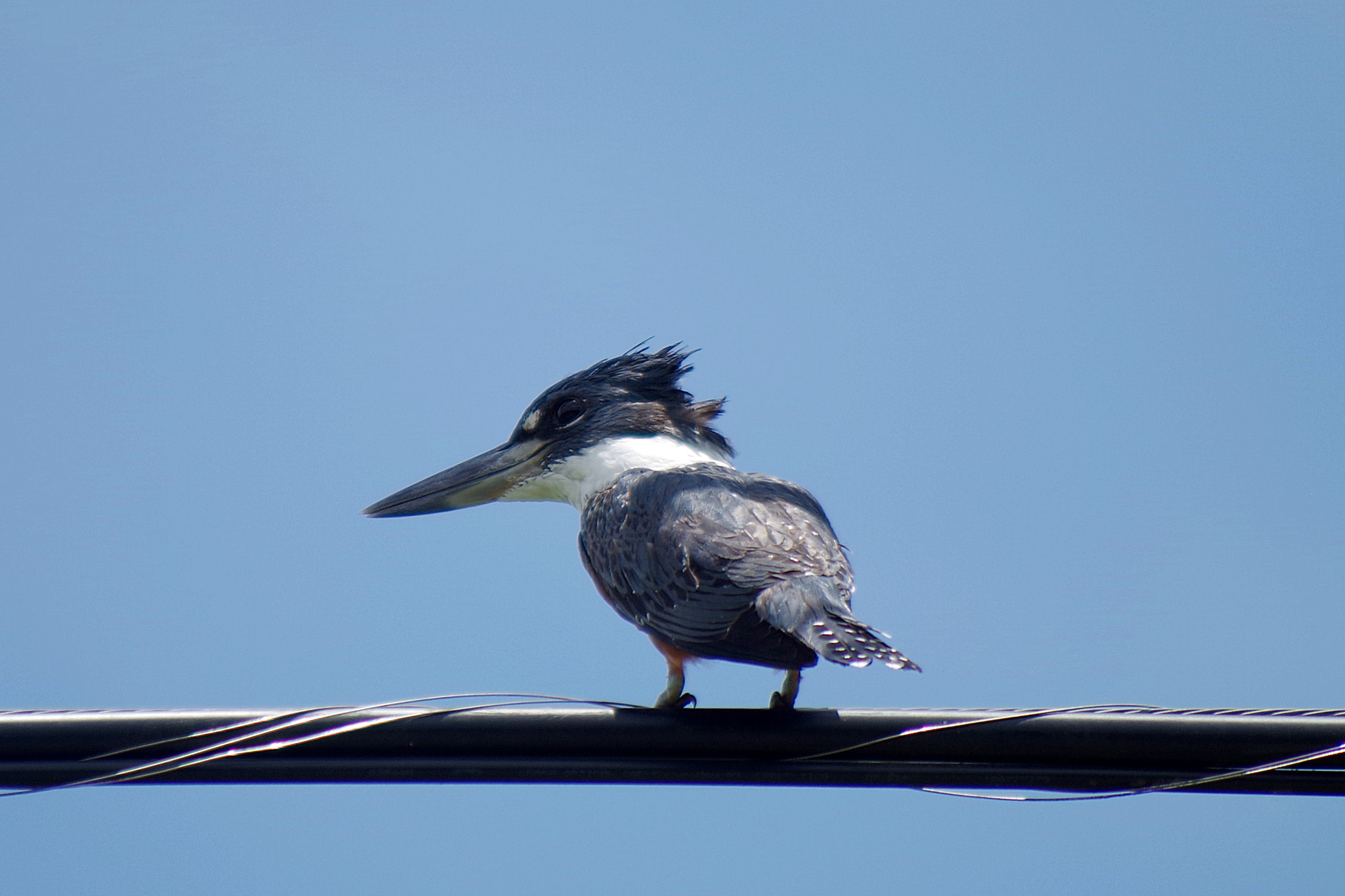 Pentax K-S2 sample photo. El pescador photography