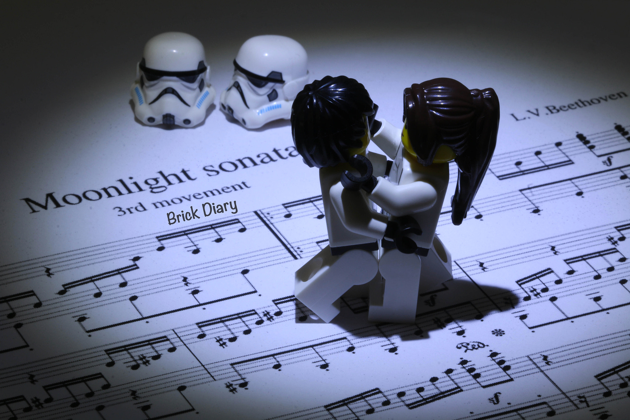 Canon EF 100mm F2.8 Macro USM sample photo. Moonlight sonata... photography