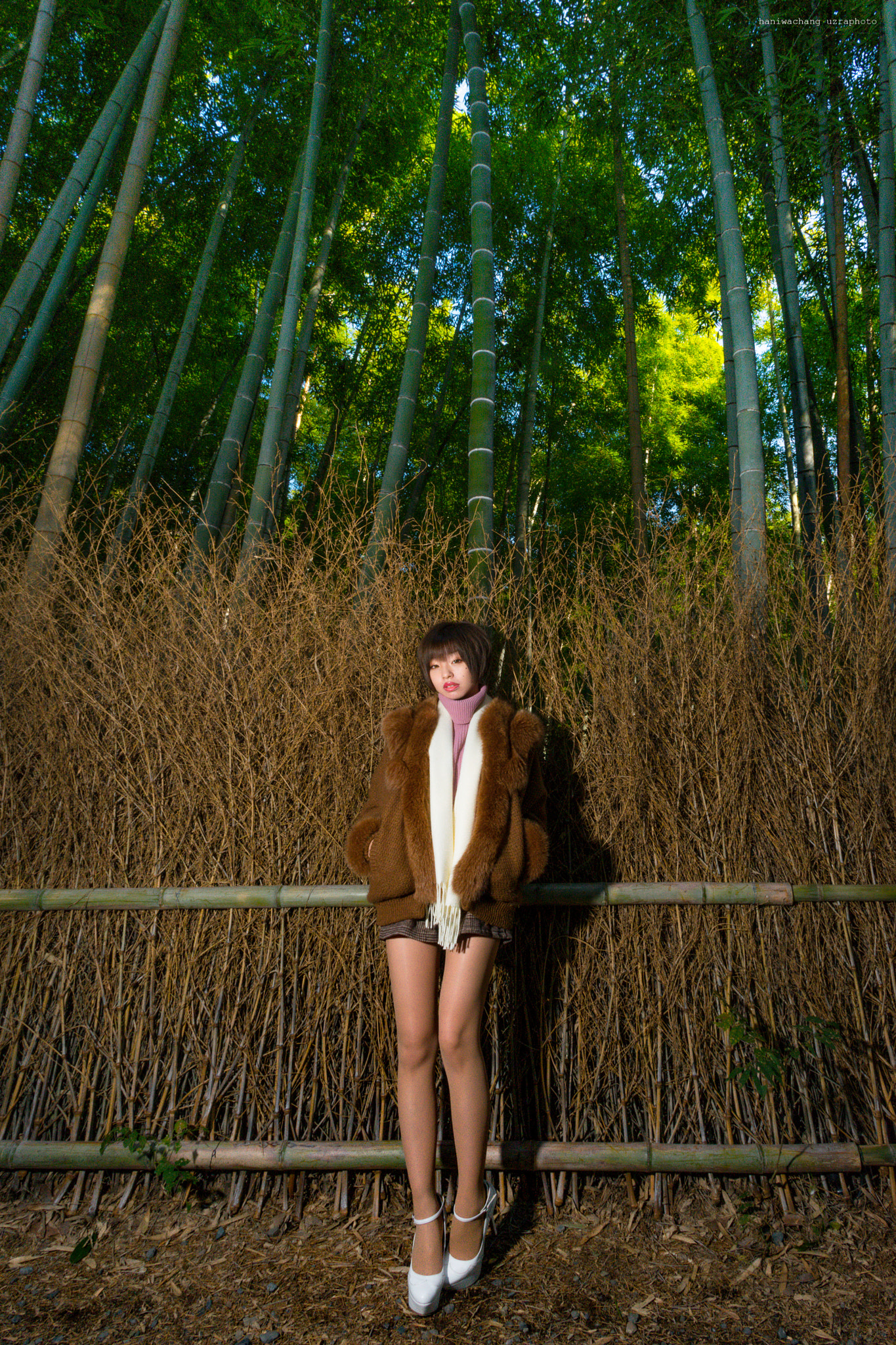 Nikon D800E + AF Nikkor 18mm f/2.8D sample photo. Bamboo grove photography