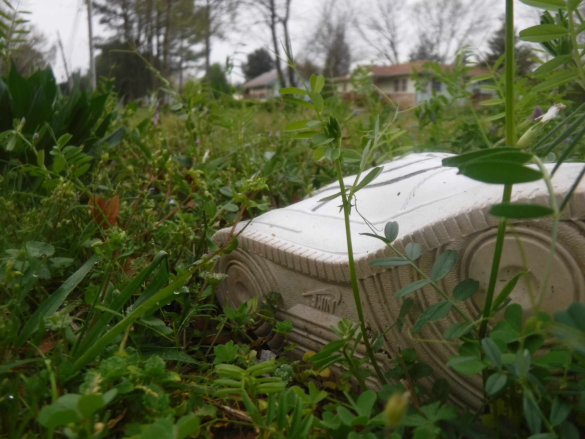 Fujifilm FinePix XP90 XP91 XP95 sample photo. Dscf photography