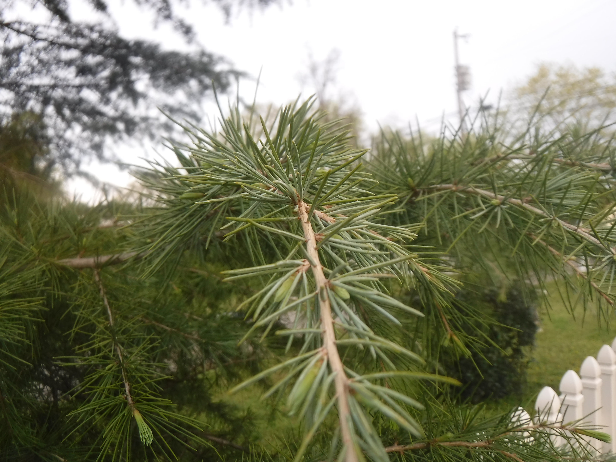 Fujifilm FinePix XP90 XP91 XP95 sample photo. Dscf photography