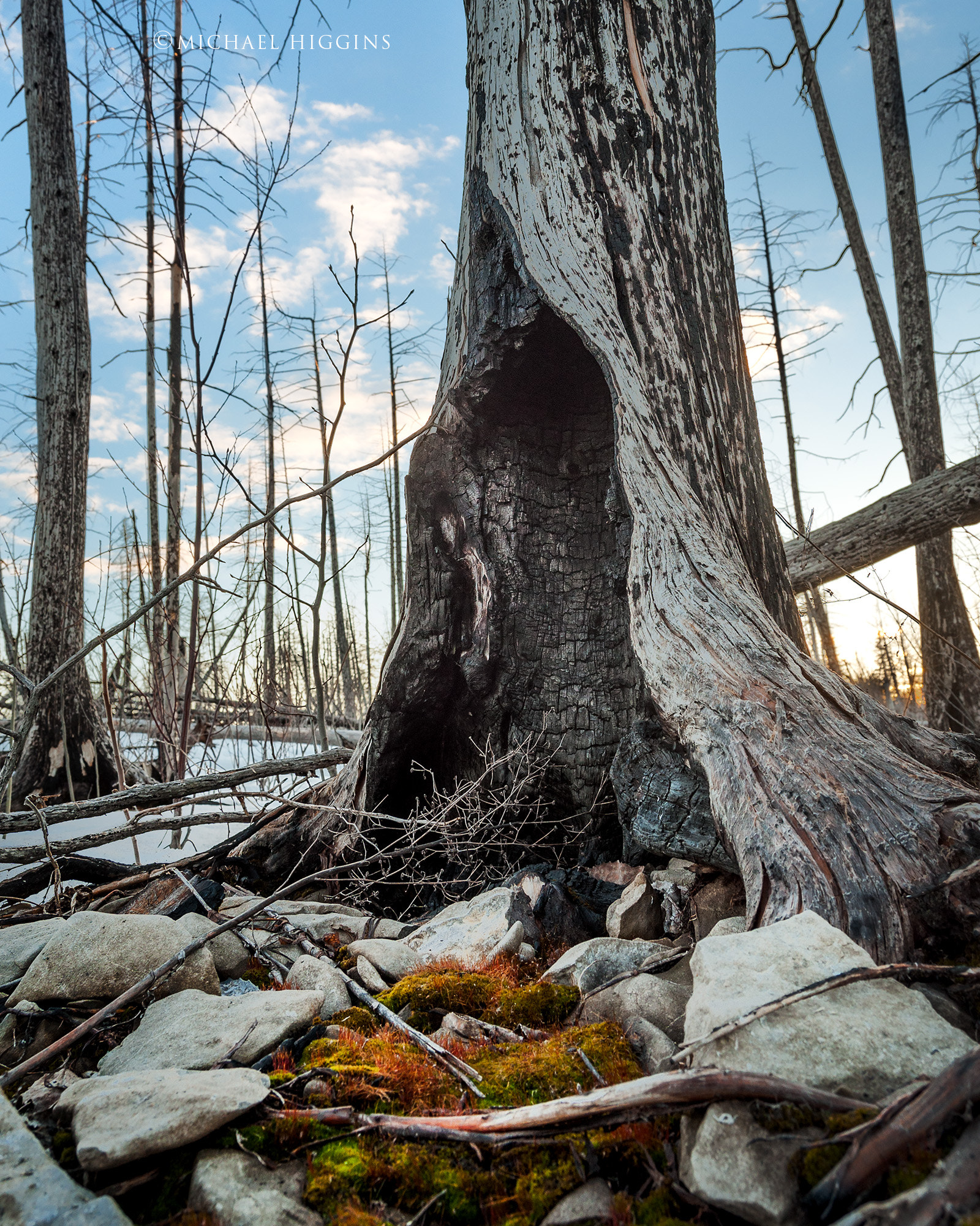Nikon D90 sample photo. Burnt out photography