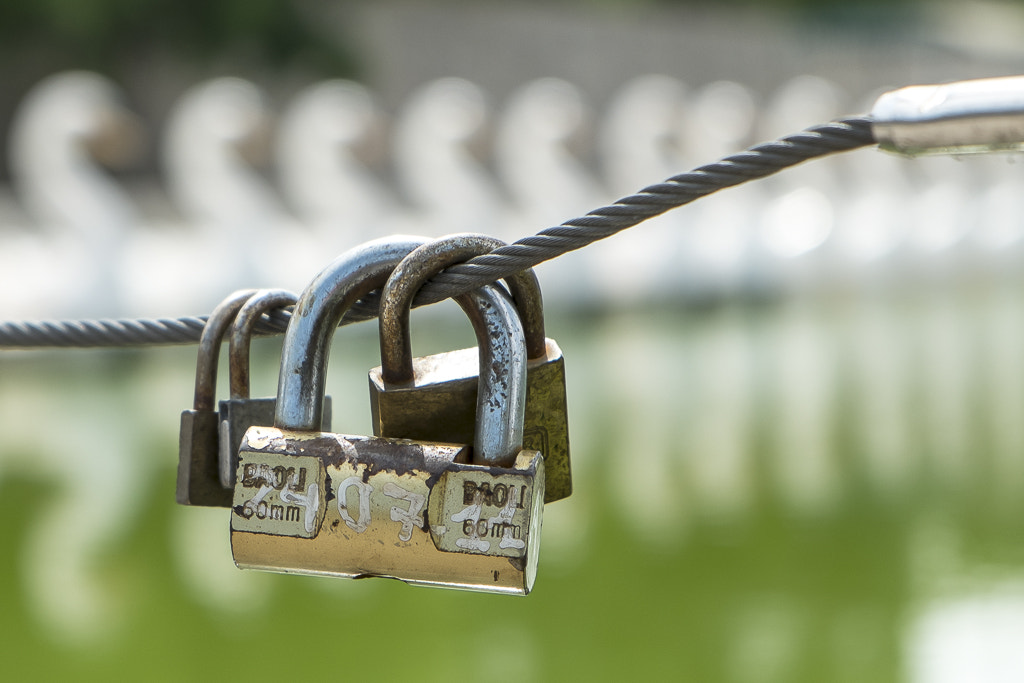 Fujifilm X-E1 + Fujifilm XF 18-55mm F2.8-4 R LM OIS sample photo. Padlocks photography