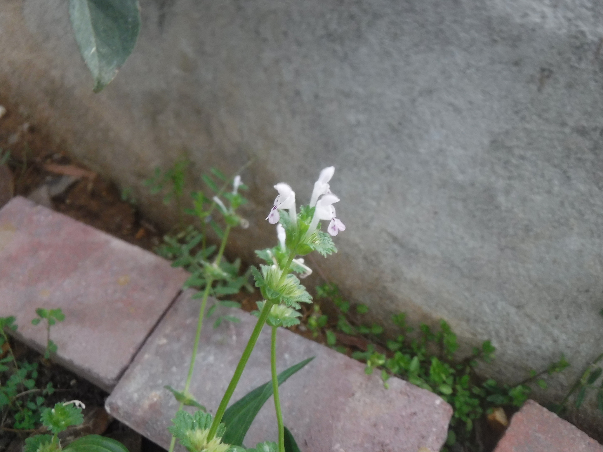 Fujifilm FinePix XP90 XP91 XP95 sample photo. Dscf photography