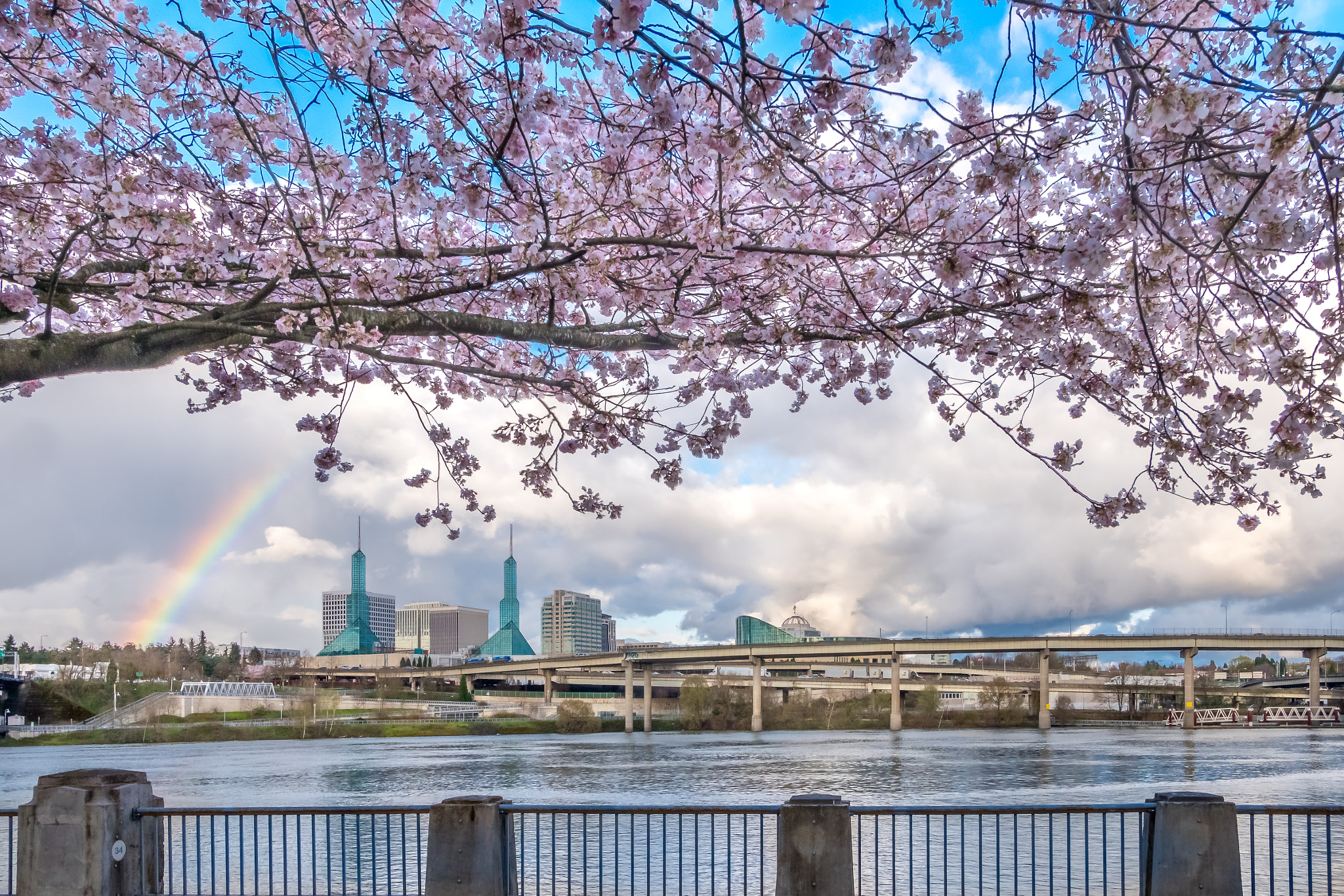 Panasonic Lumix G Vario 7-14mm F4 ASPH sample photo. Spring has arrived in portland photography