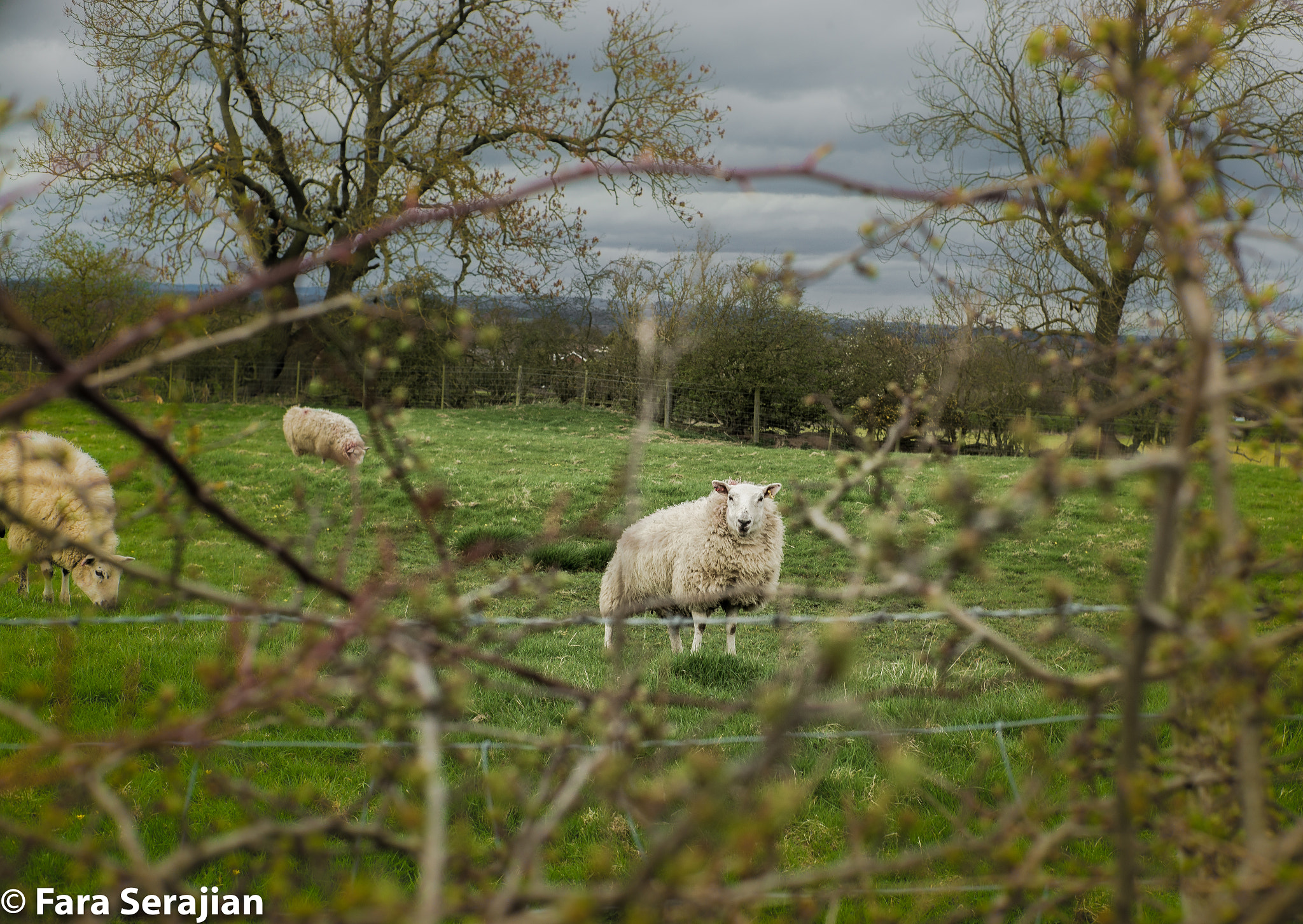 Leica M (Typ 240) + Noctilux-M 1:1/50 sample photo. Darras hall photography