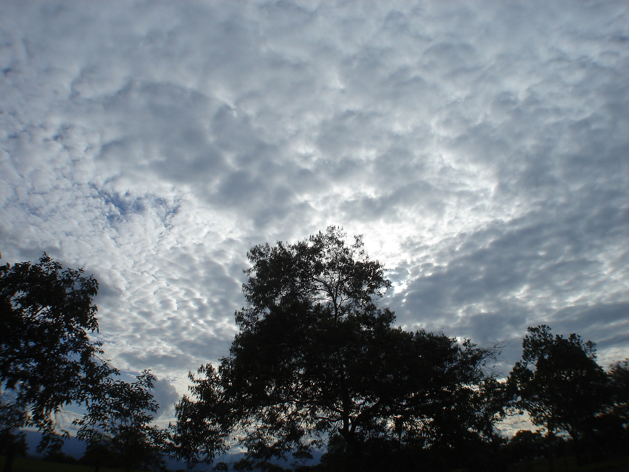 Sony DSC-S90 sample photo. Nubes photography