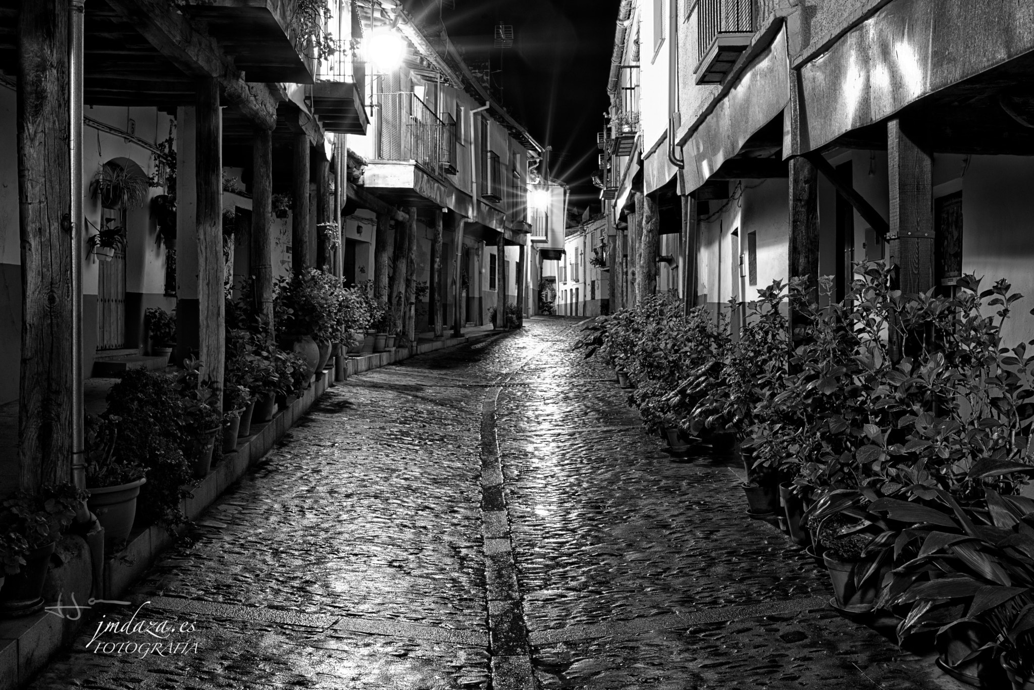 Nikon D610 + Sigma 35mm F1.4 DG HSM Art sample photo. 20170325_1064.jpg photography