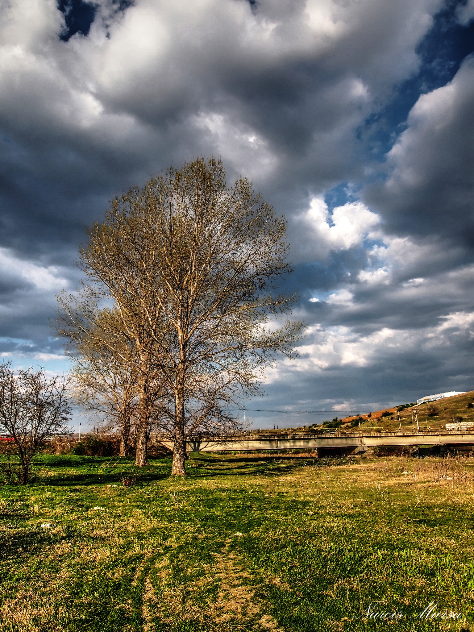Olympus PEN E-PL3 sample photo. Pending storm photography