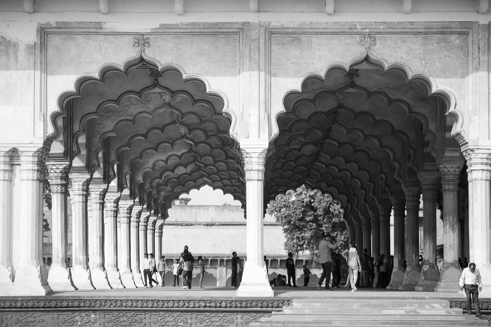 Canon EF 70-200mm F4L USM sample photo. Agra, india photography