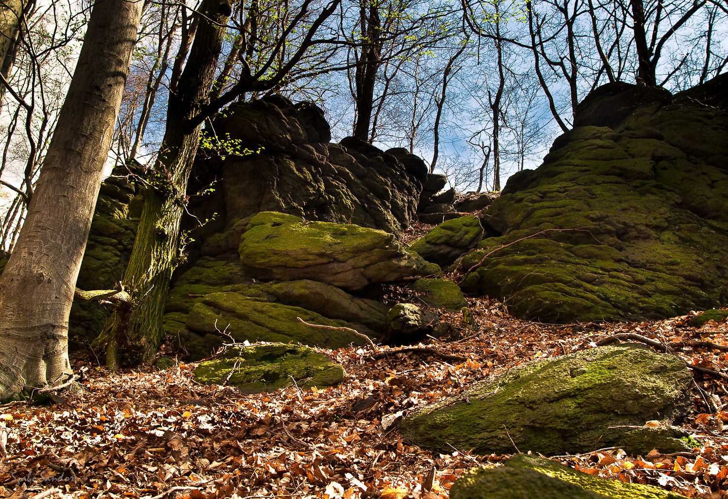 Sigma 20mm F1.8 EX DG Aspherical RF sample photo. Szilváskő photography